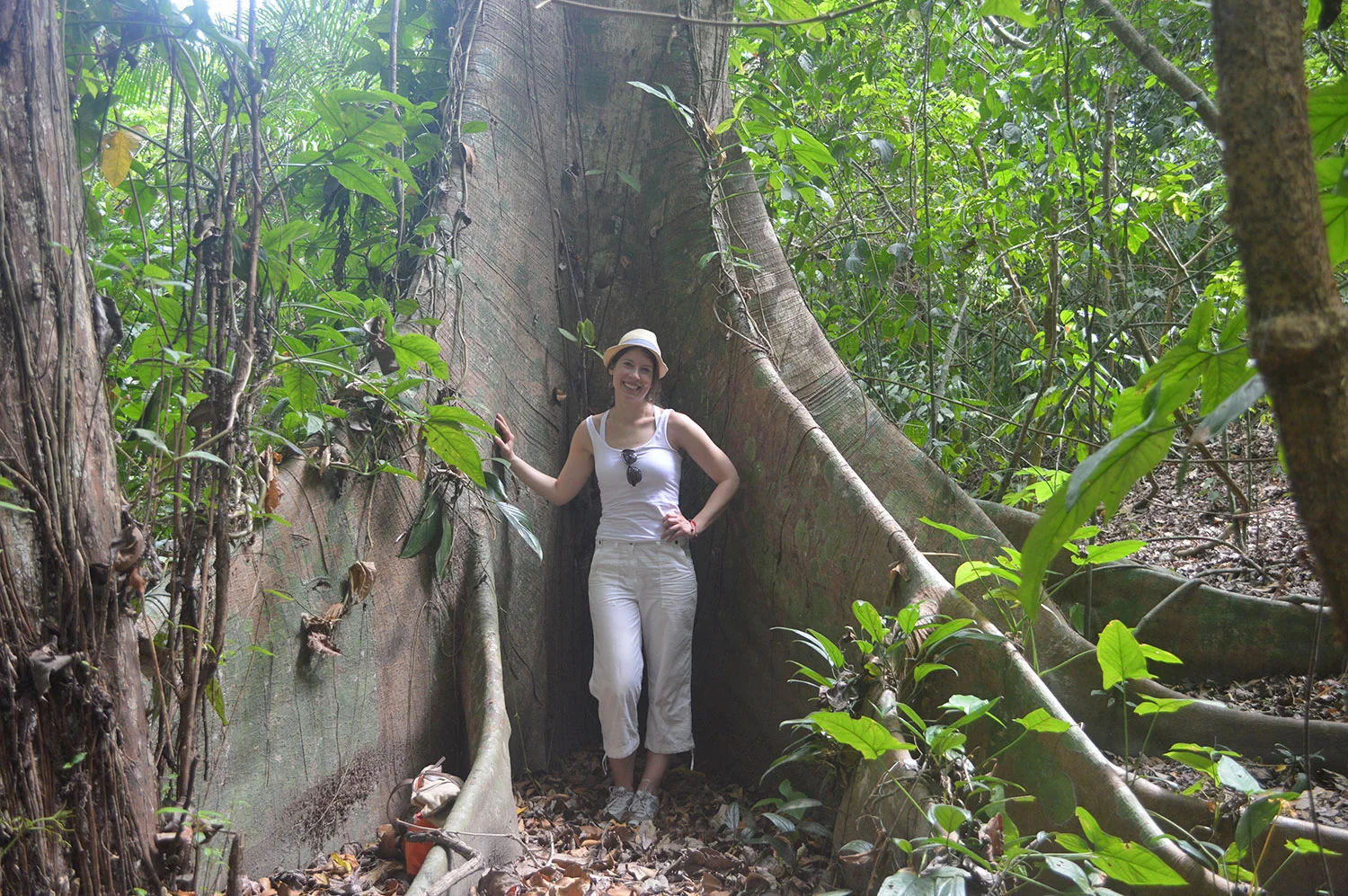Cabo Blanco Absolute Reserve — Costa Rican Tropical Tours