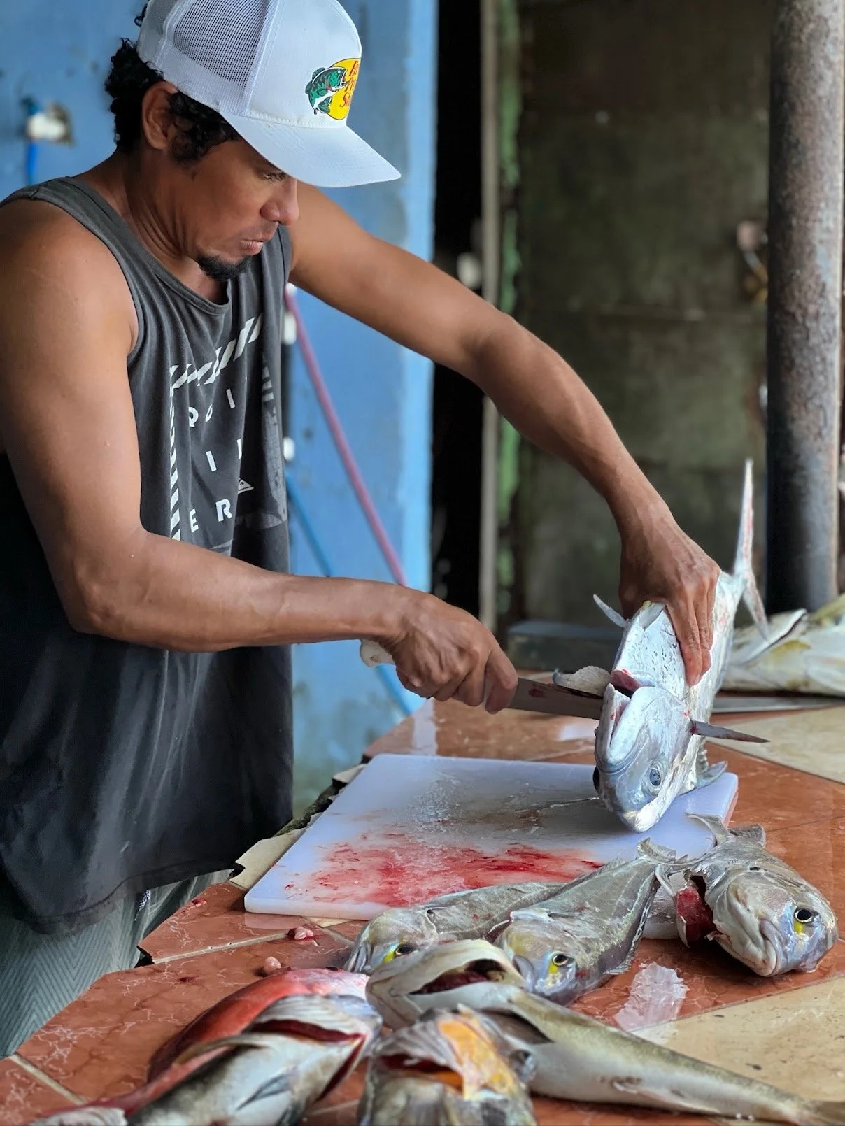 A man wearing a fish-themed cap and sleeveless shirt is filleting fish on a table, surrounded by other fish. He is focused on his task in an indoor setting with rustic walls. sushi cevieche fresh fish