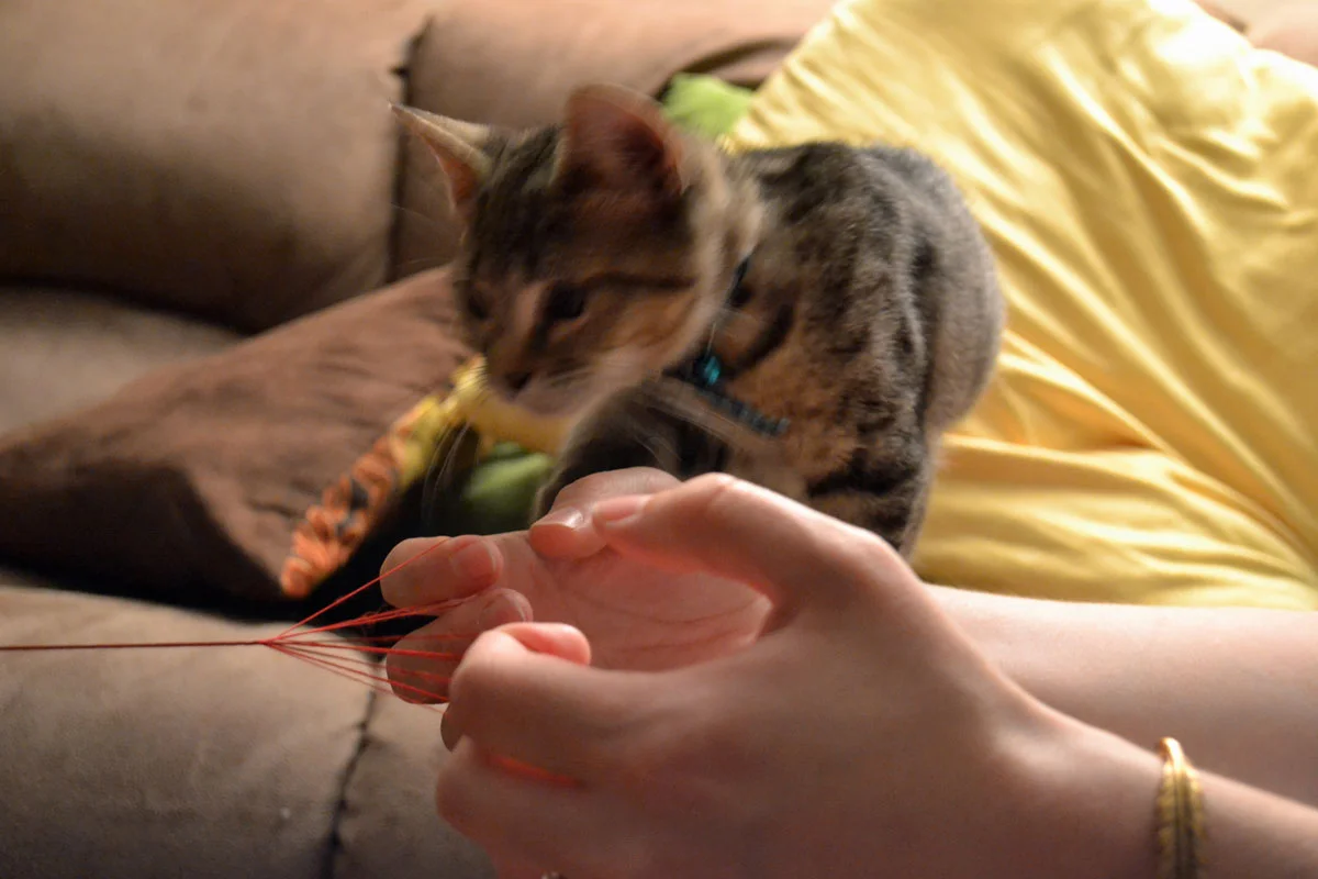 How to Make a Fingerloop Lace