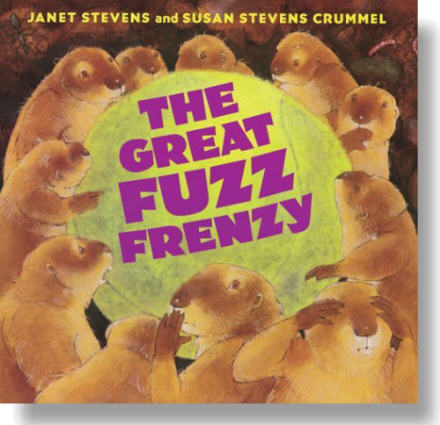 fuzz cover with shading.jpg