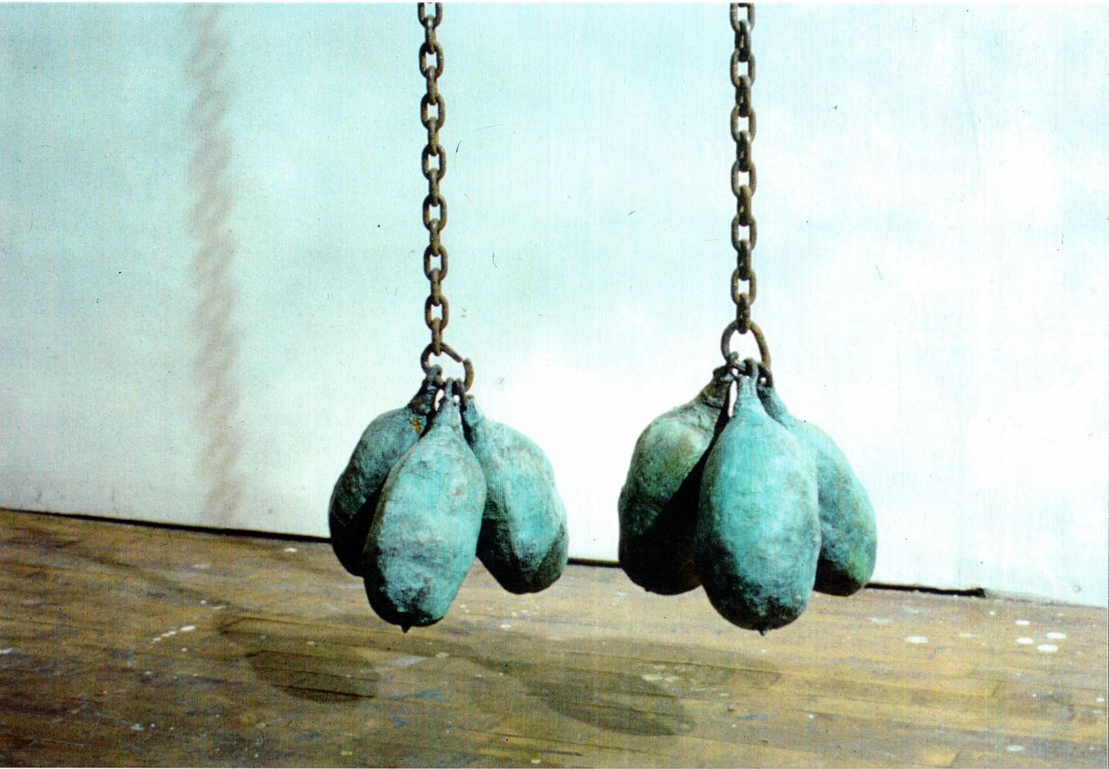Baobob, 1994, Close Up