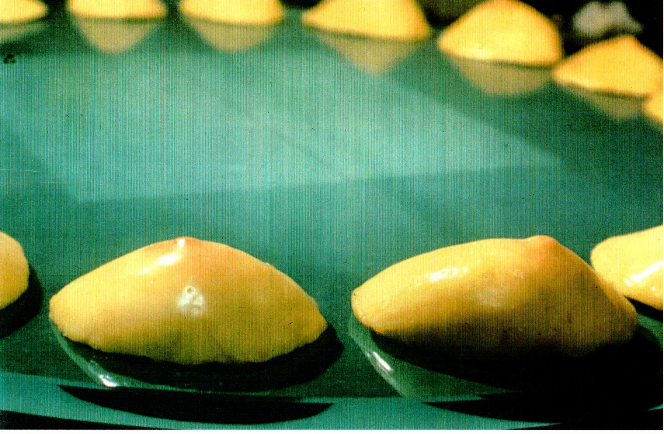Milk Tree, 1993, Close Up
