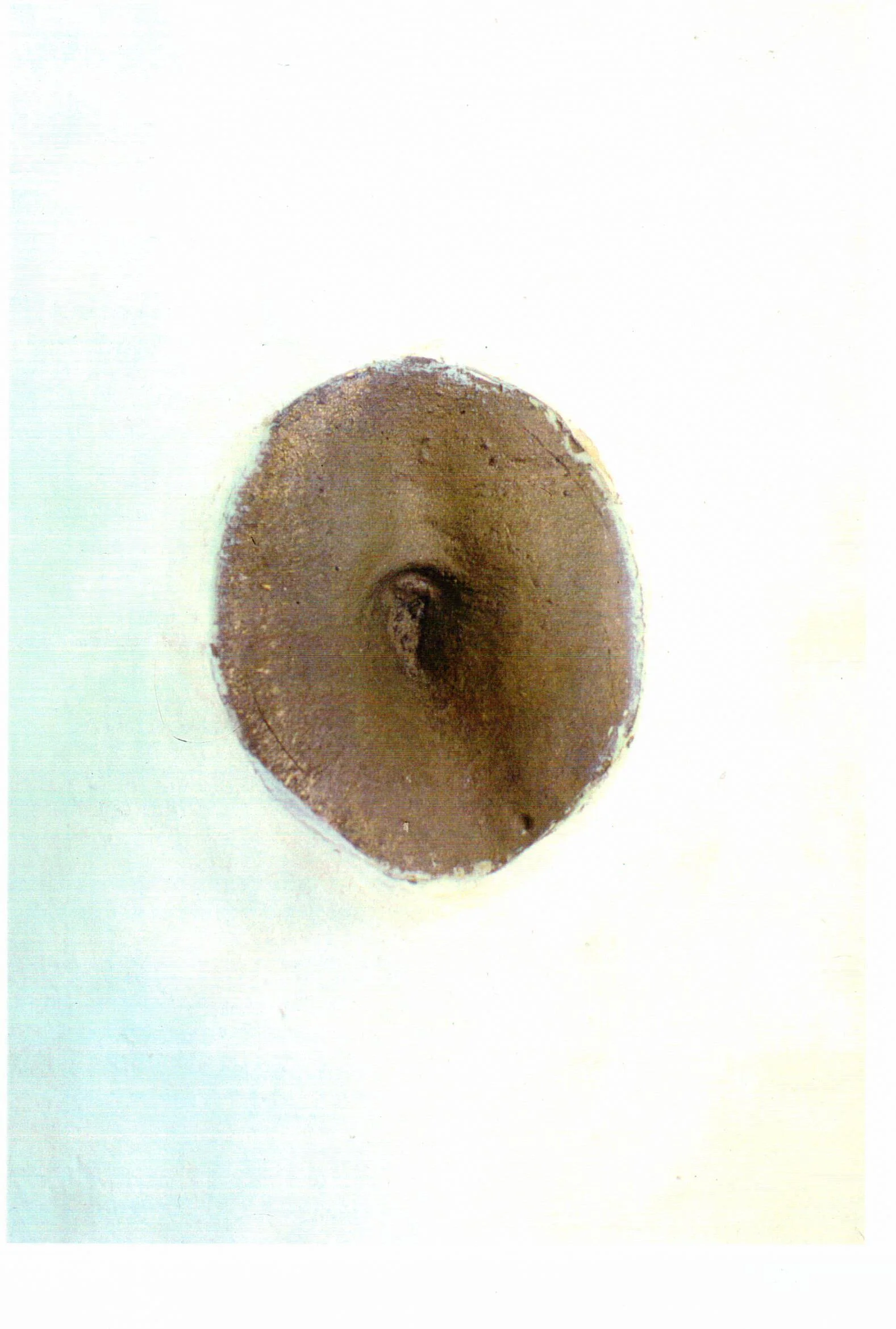 Omphalos, 1995, Close Up