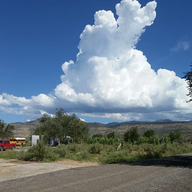 Farm to School Garden, 2014, Saint Joseph Mission School, San Fidel, New Mexico