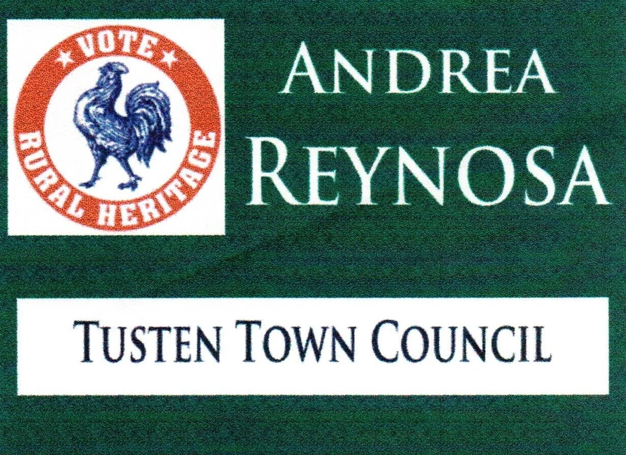Political Lawn Sign, 2011