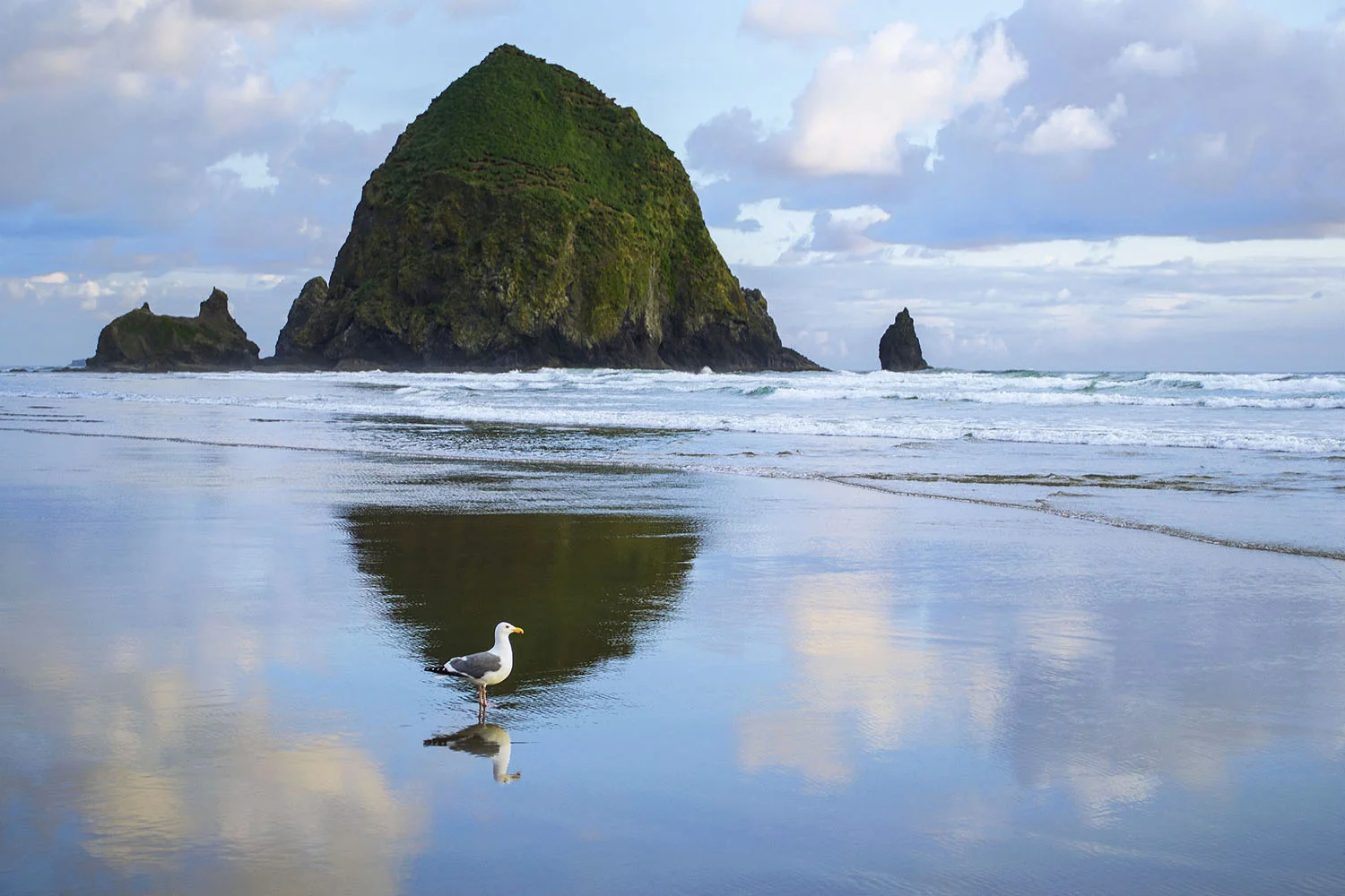 Let's Get This Party Started