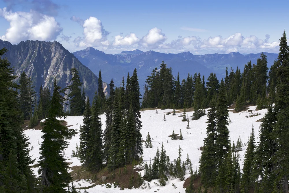 Mt.. Ranier Range.jpg