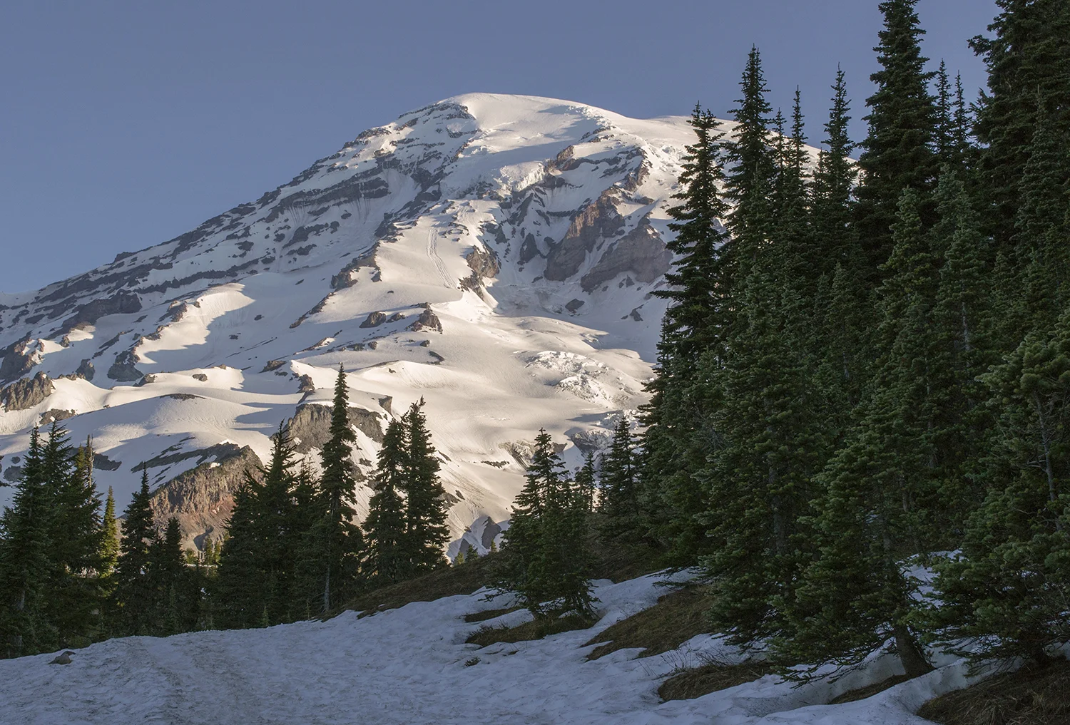 Paradise at Mount Rainier