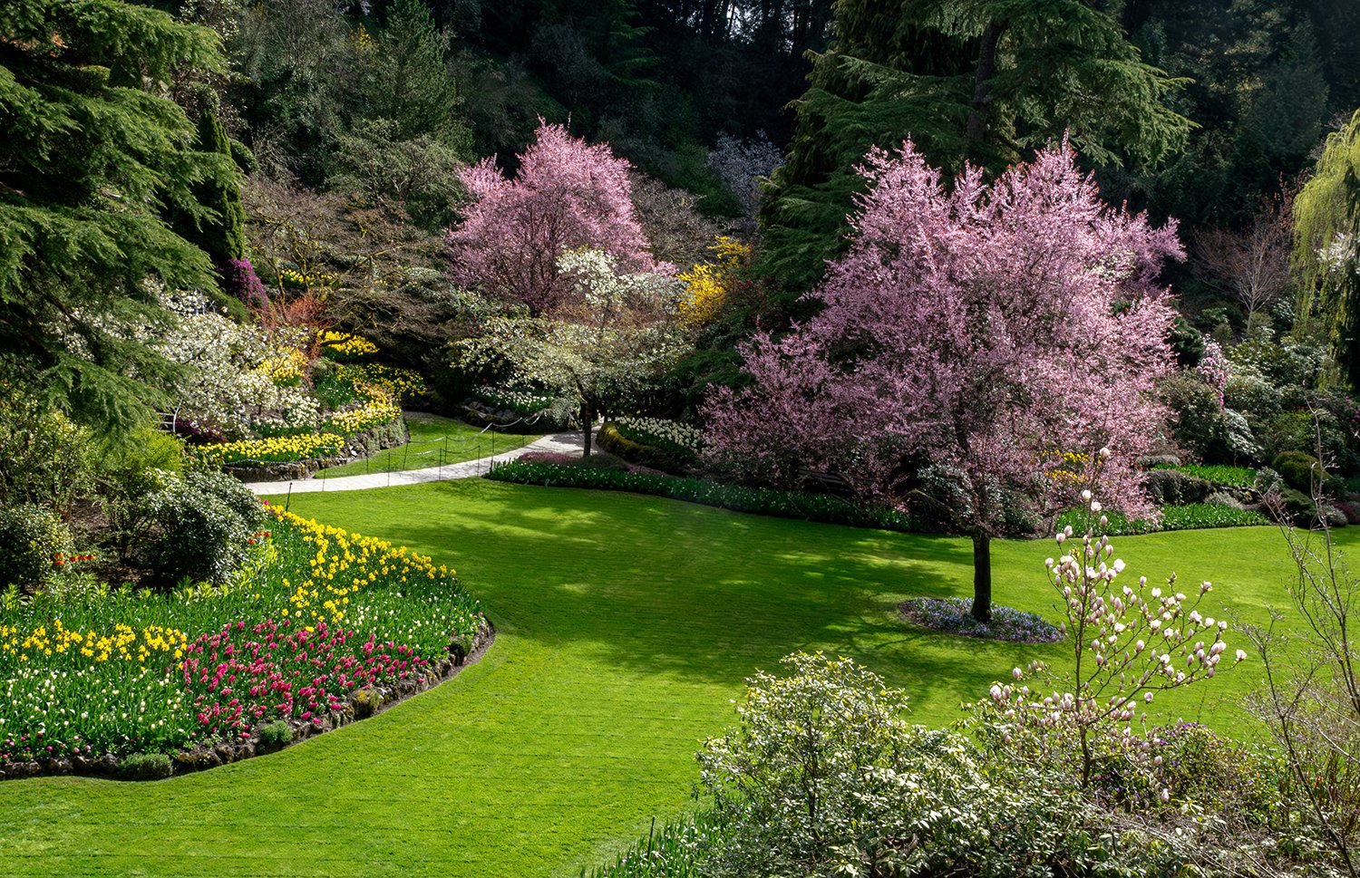 Spring Garden.jpg