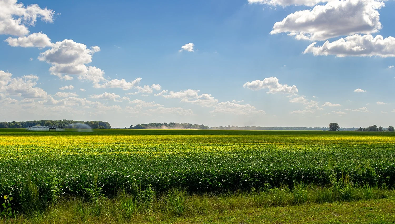Kentucky Arkansas Countryside.jpg