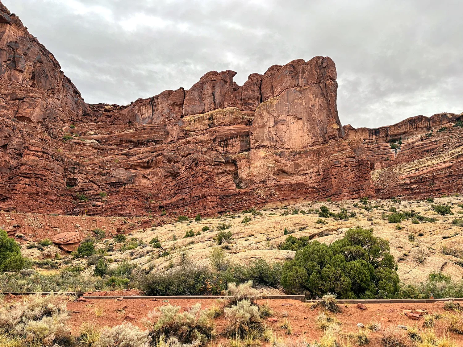 Up Into the Arches.jpg