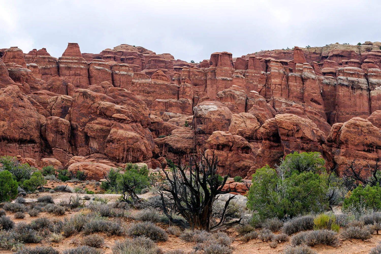 Arches Mesa.jpg