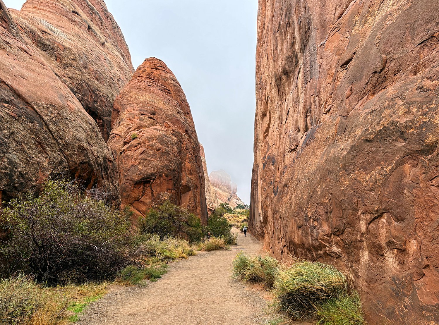 Trail into the Arches.jpg