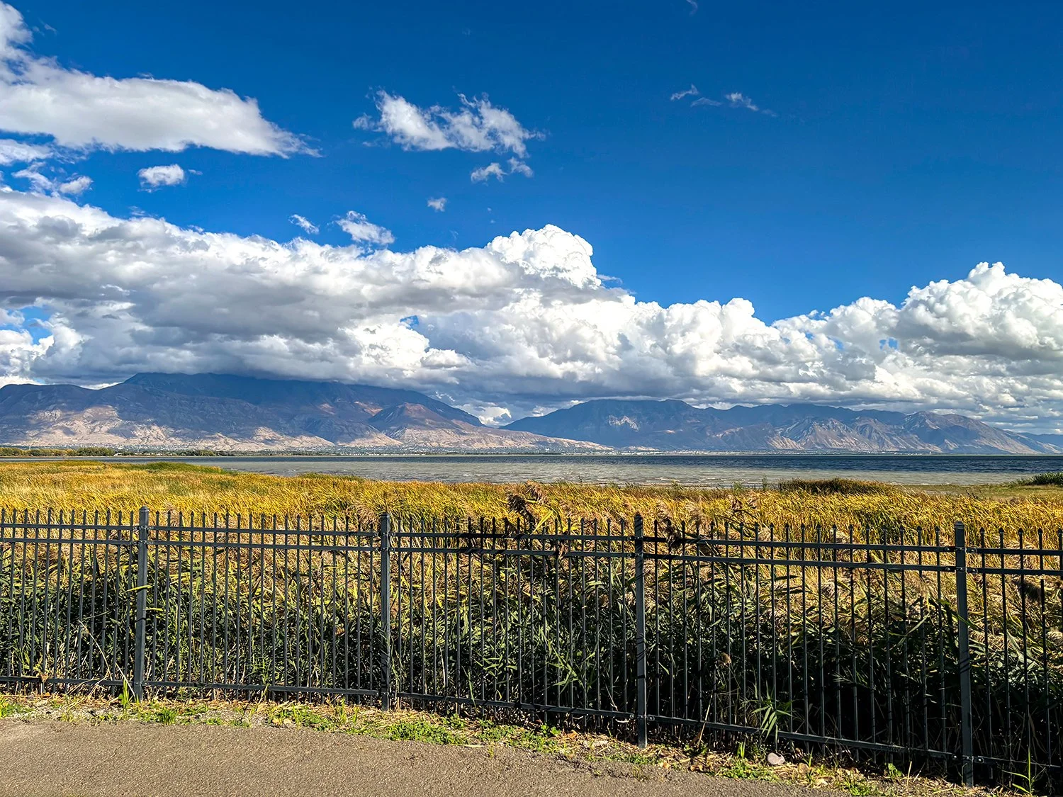 Saratoga Springs 2.jpg