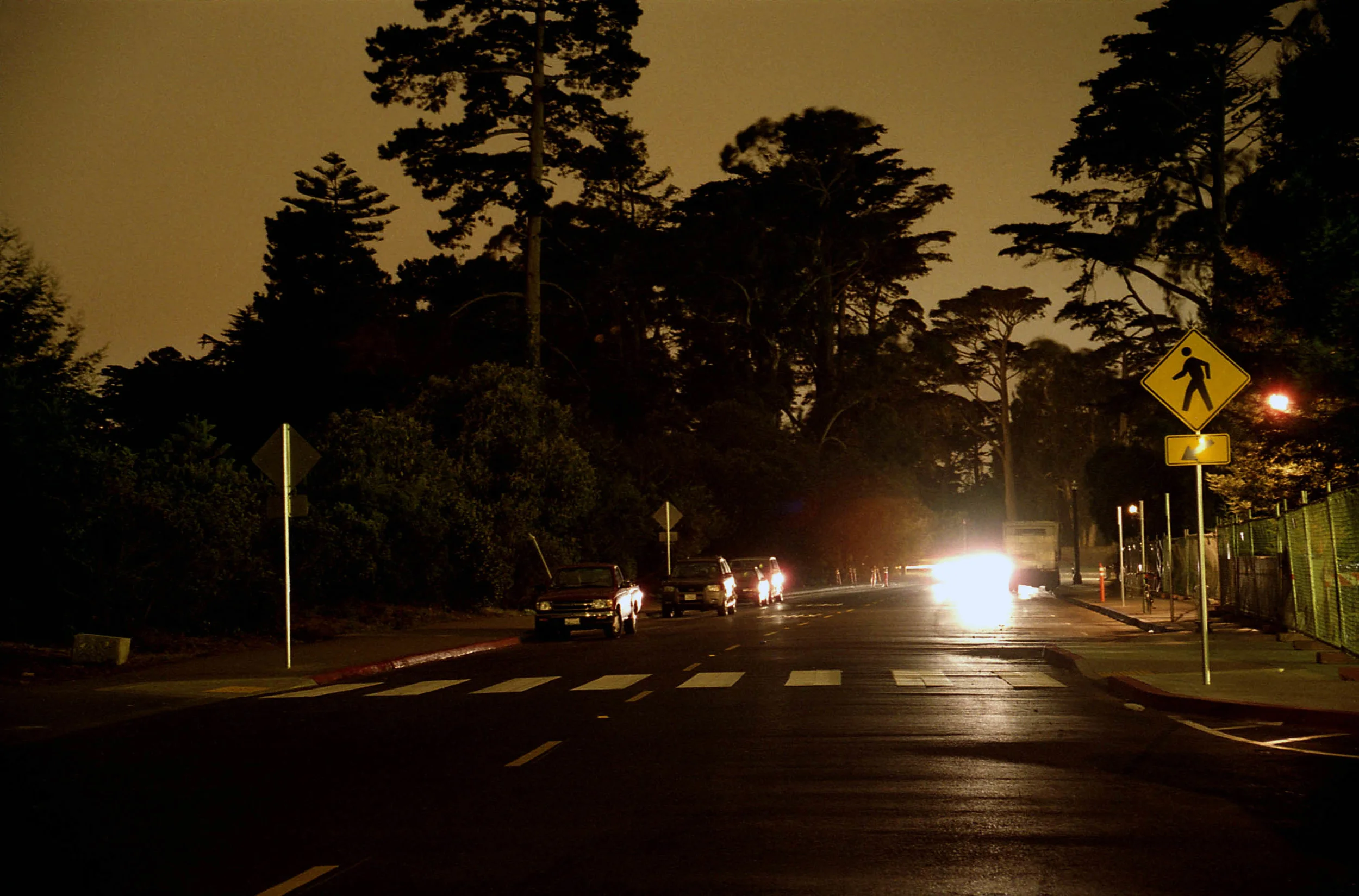Golden Gate Park