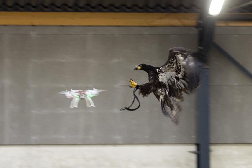 drone-eagle-catcher-uav-quadcopter-police.jpg