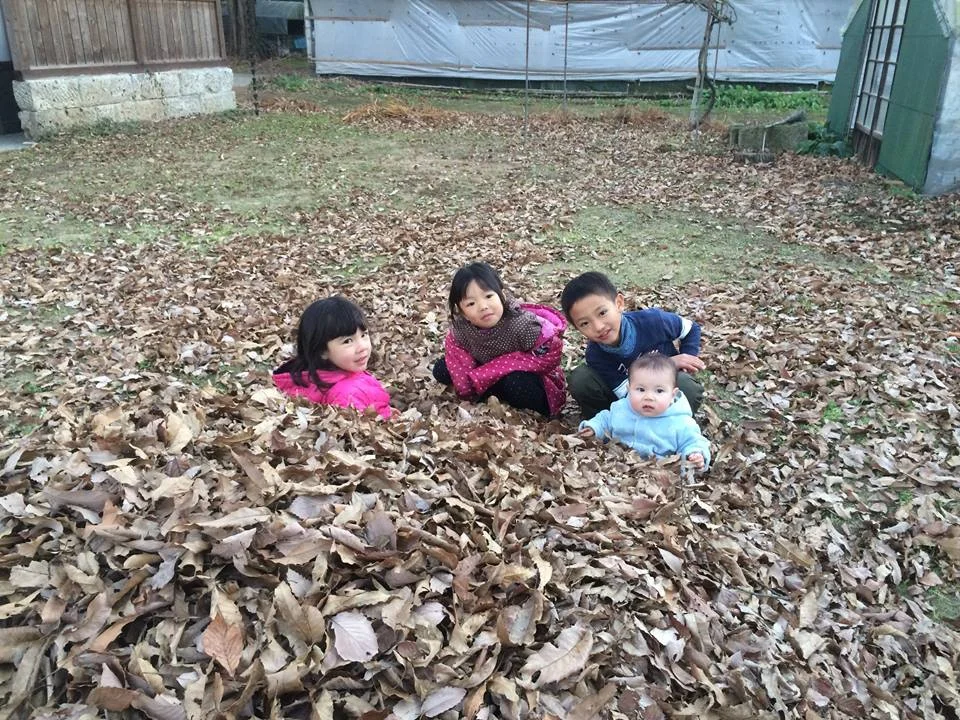 孫.jpg