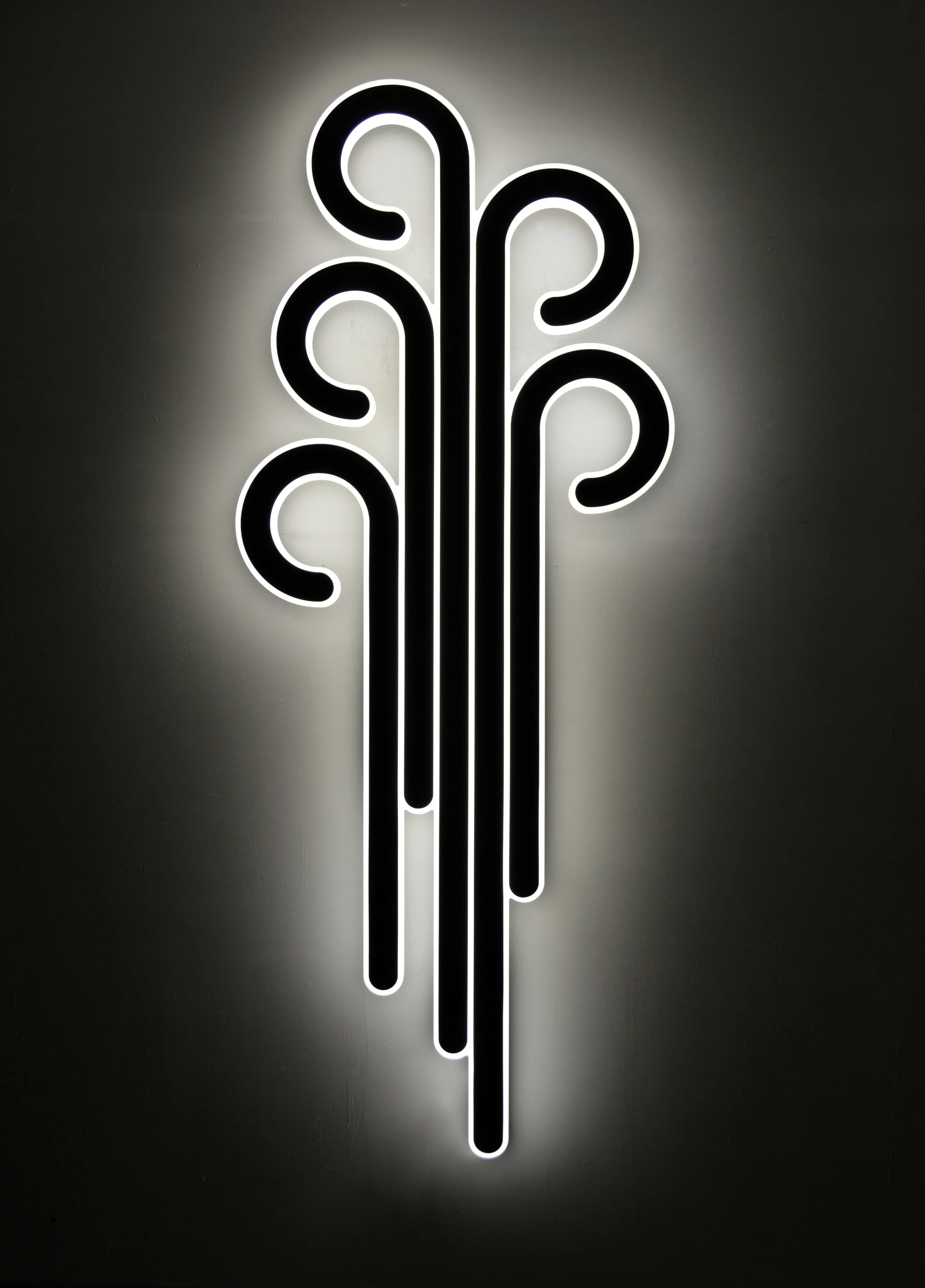 light2.jpg