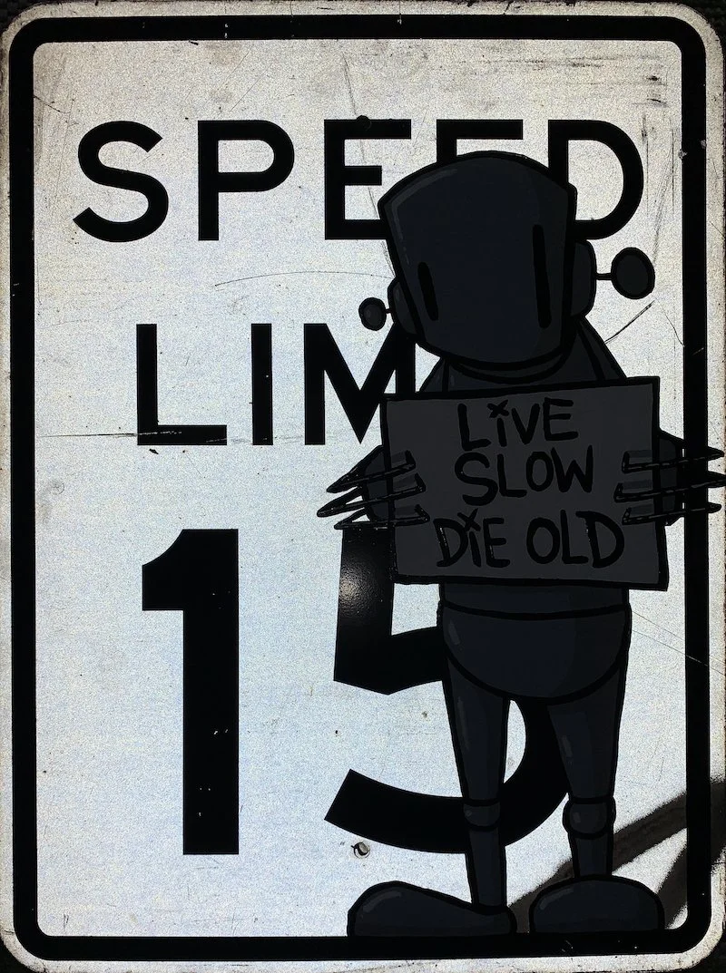 speed trap (reflect).JPG