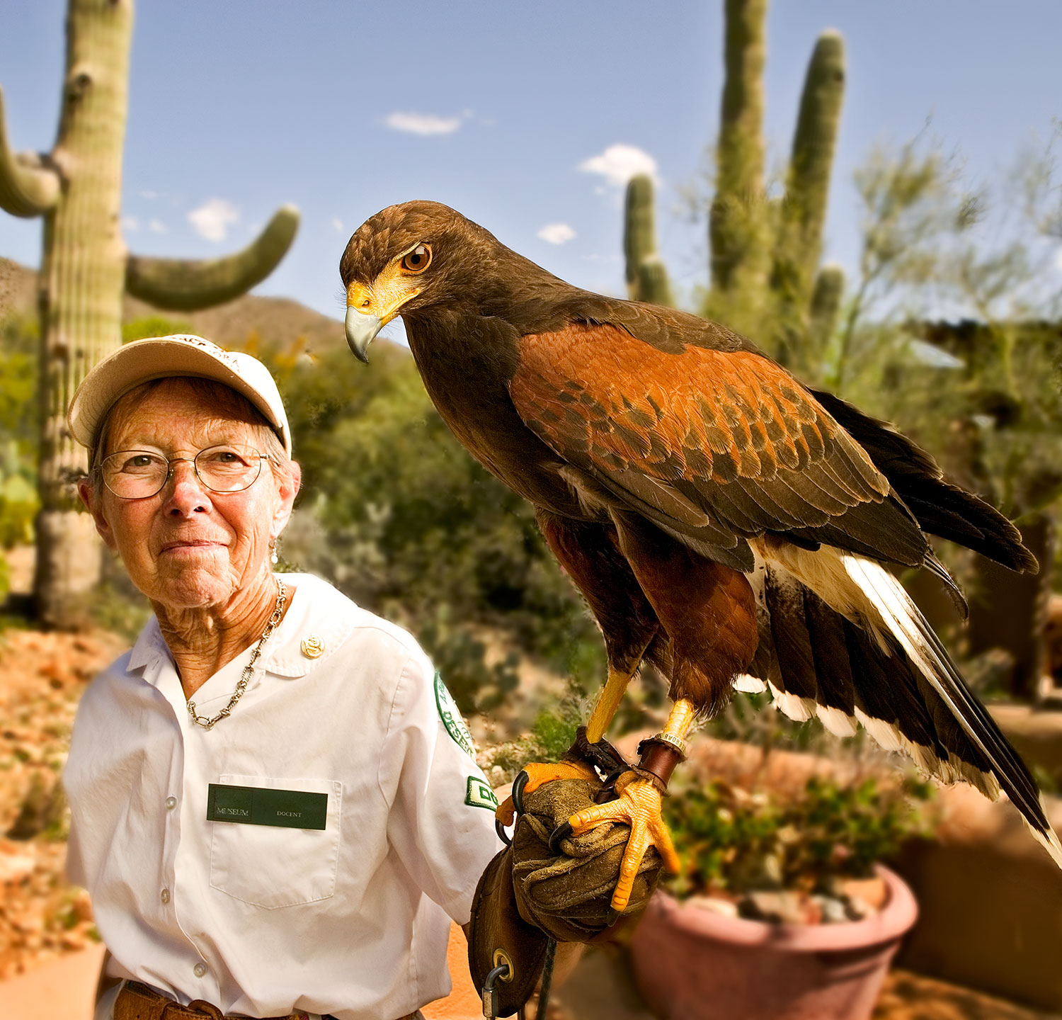 Arizona Sonoran Desert Museum - docent with falcon