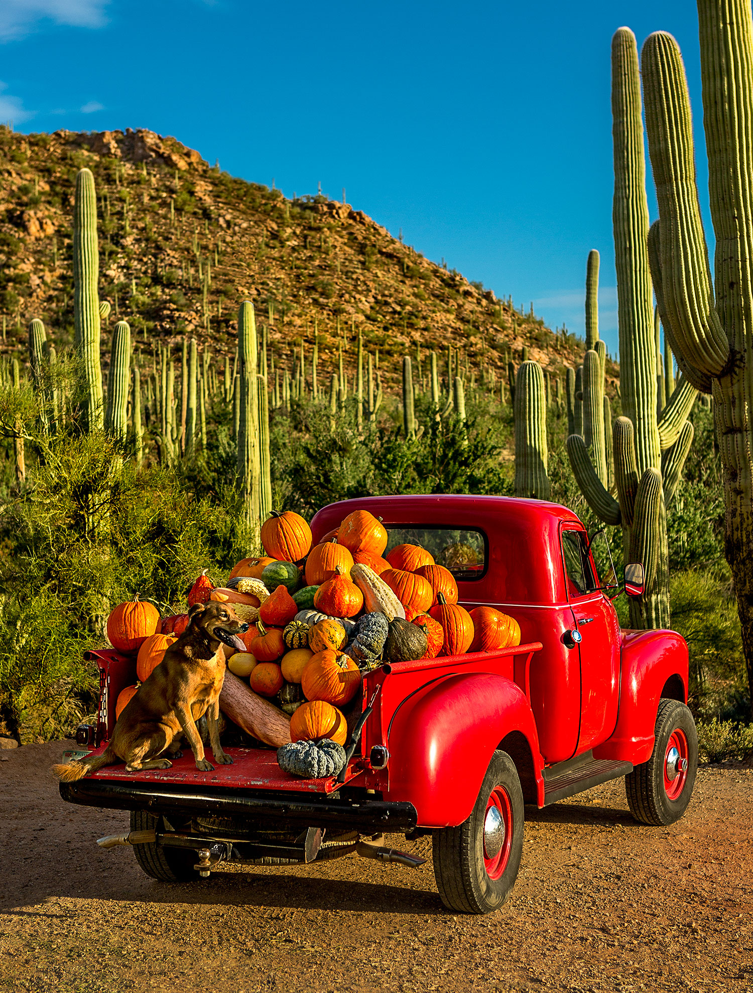 Autumn in the Desert