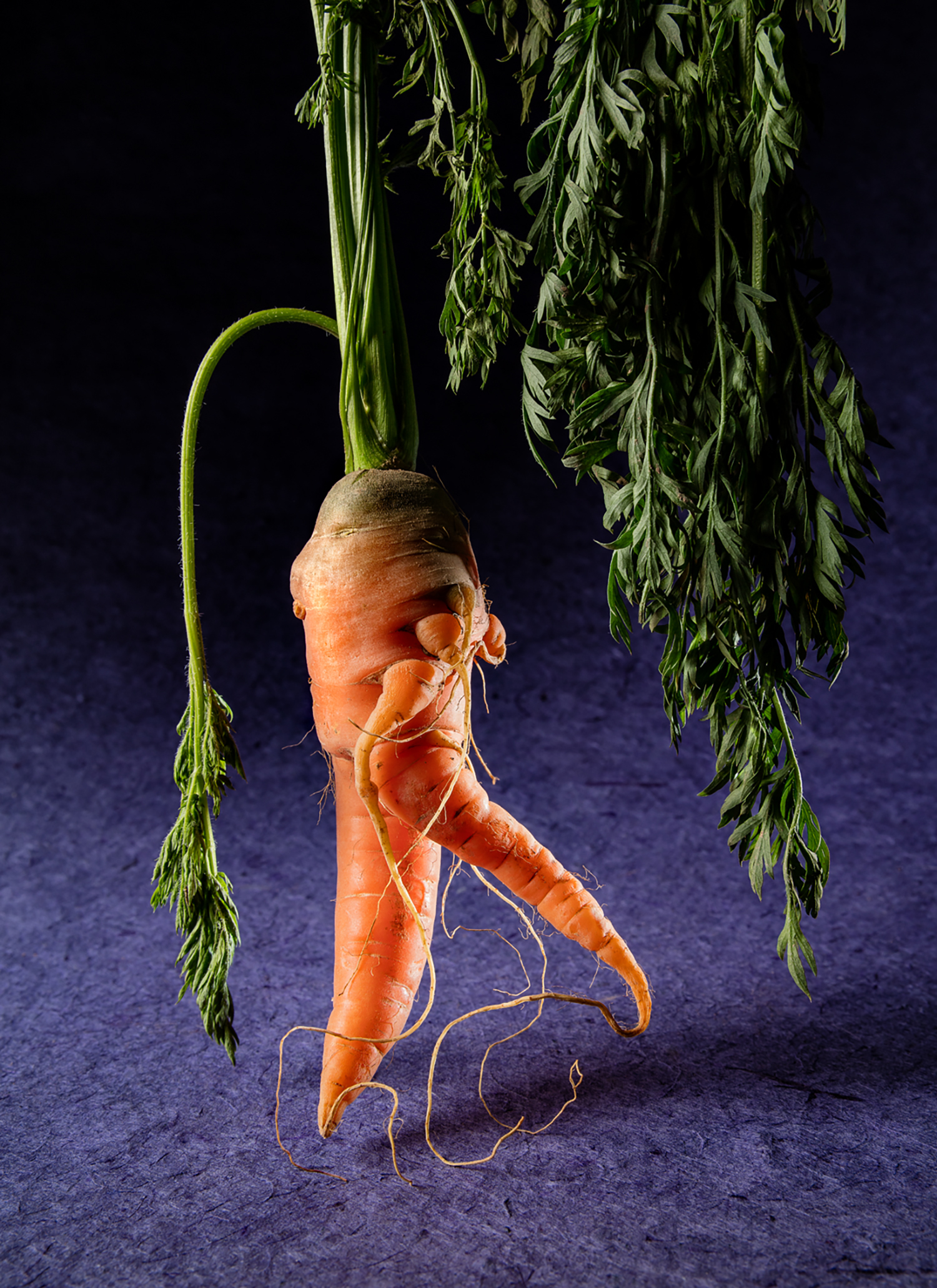 Dancing carrots