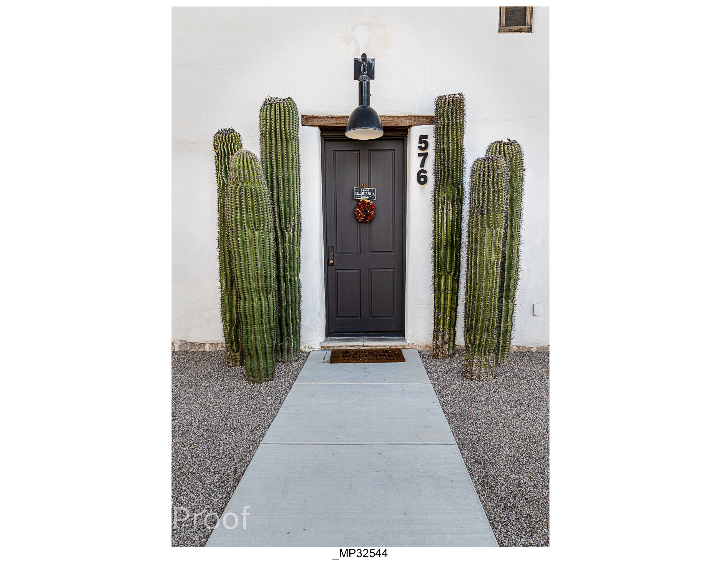 Barrio #1 Meckler Proofs-014.jpg