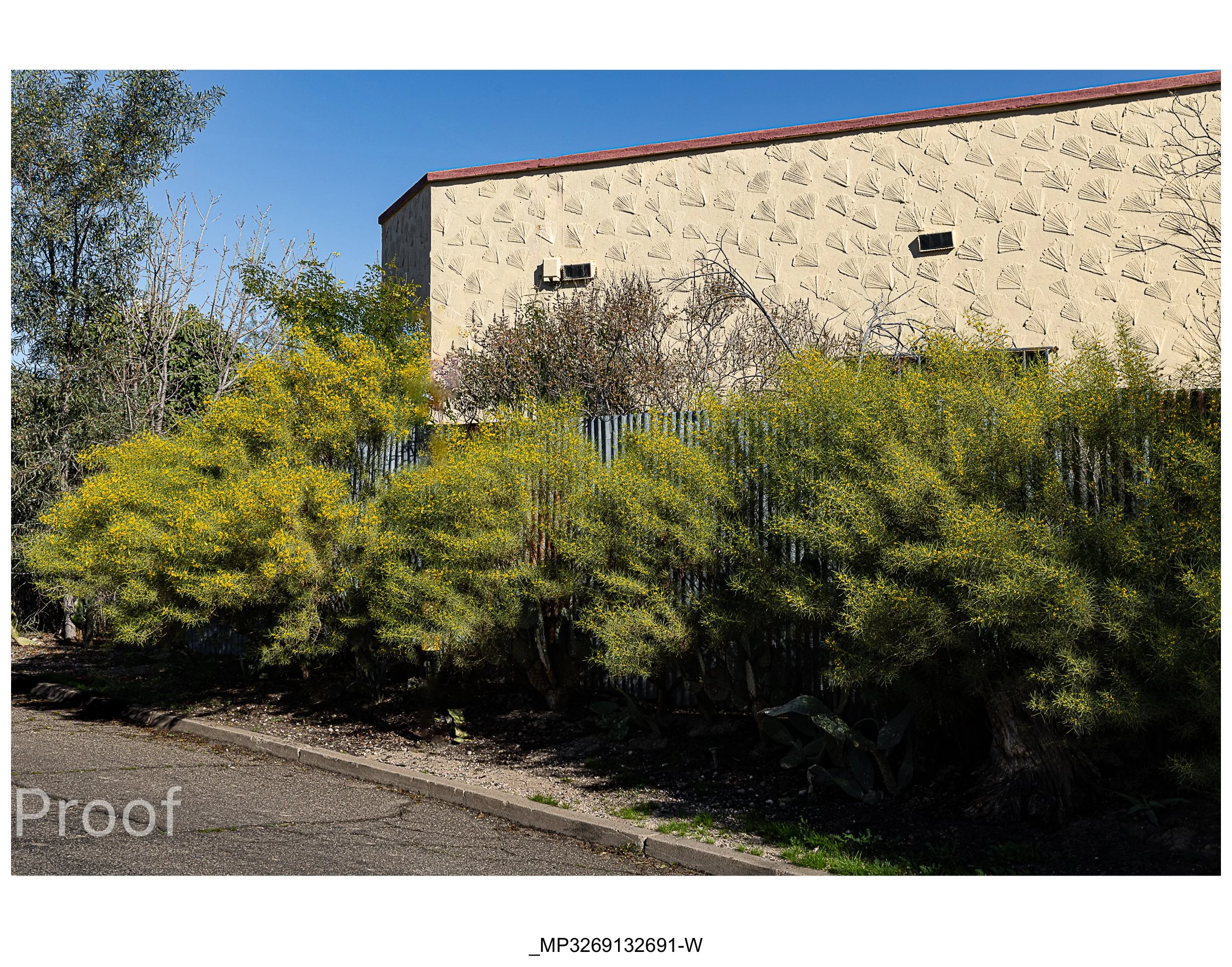 Barrio #1 Meckler Proofs-040.jpg