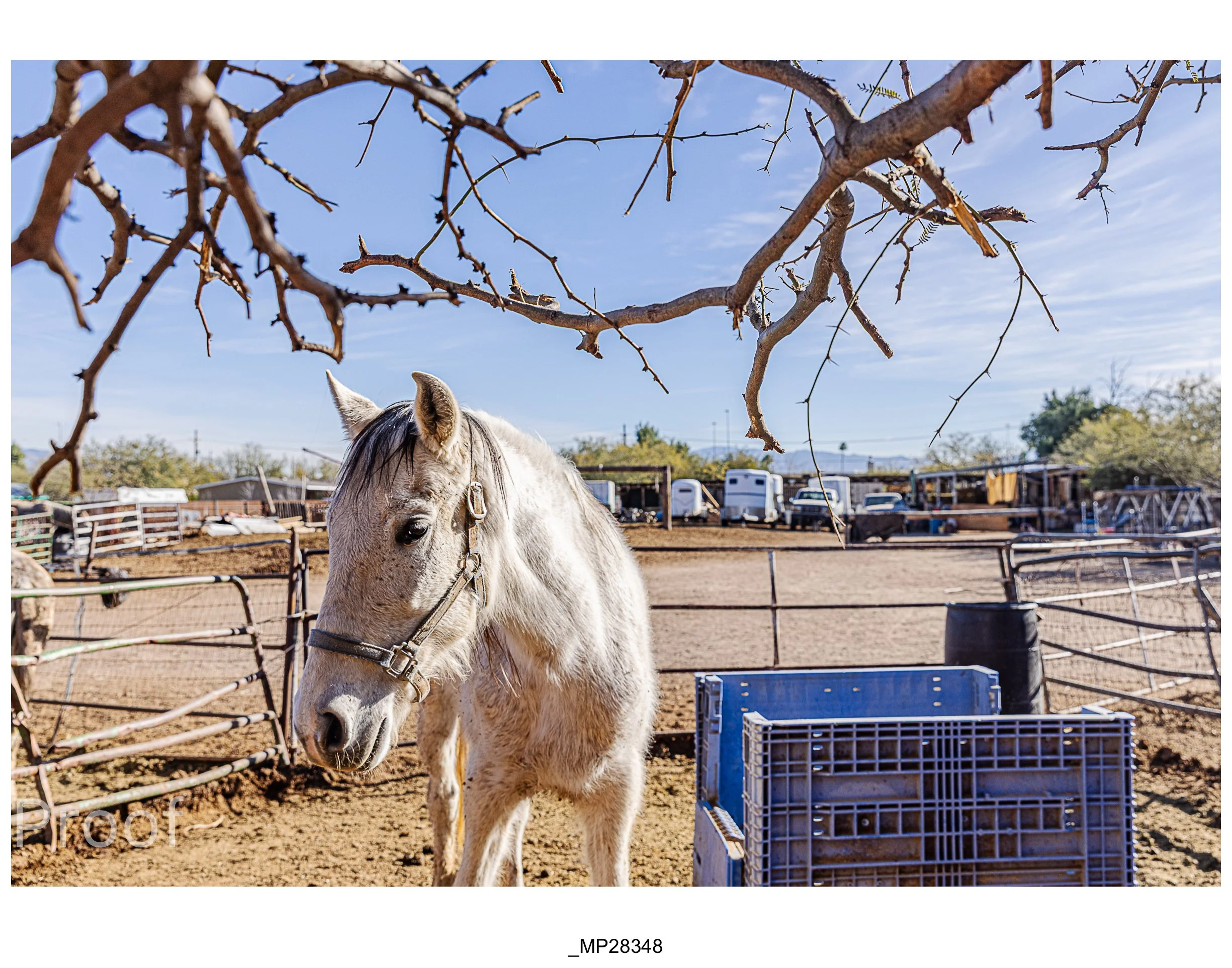 Barrio #1 Meckler Proofs-068.jpg