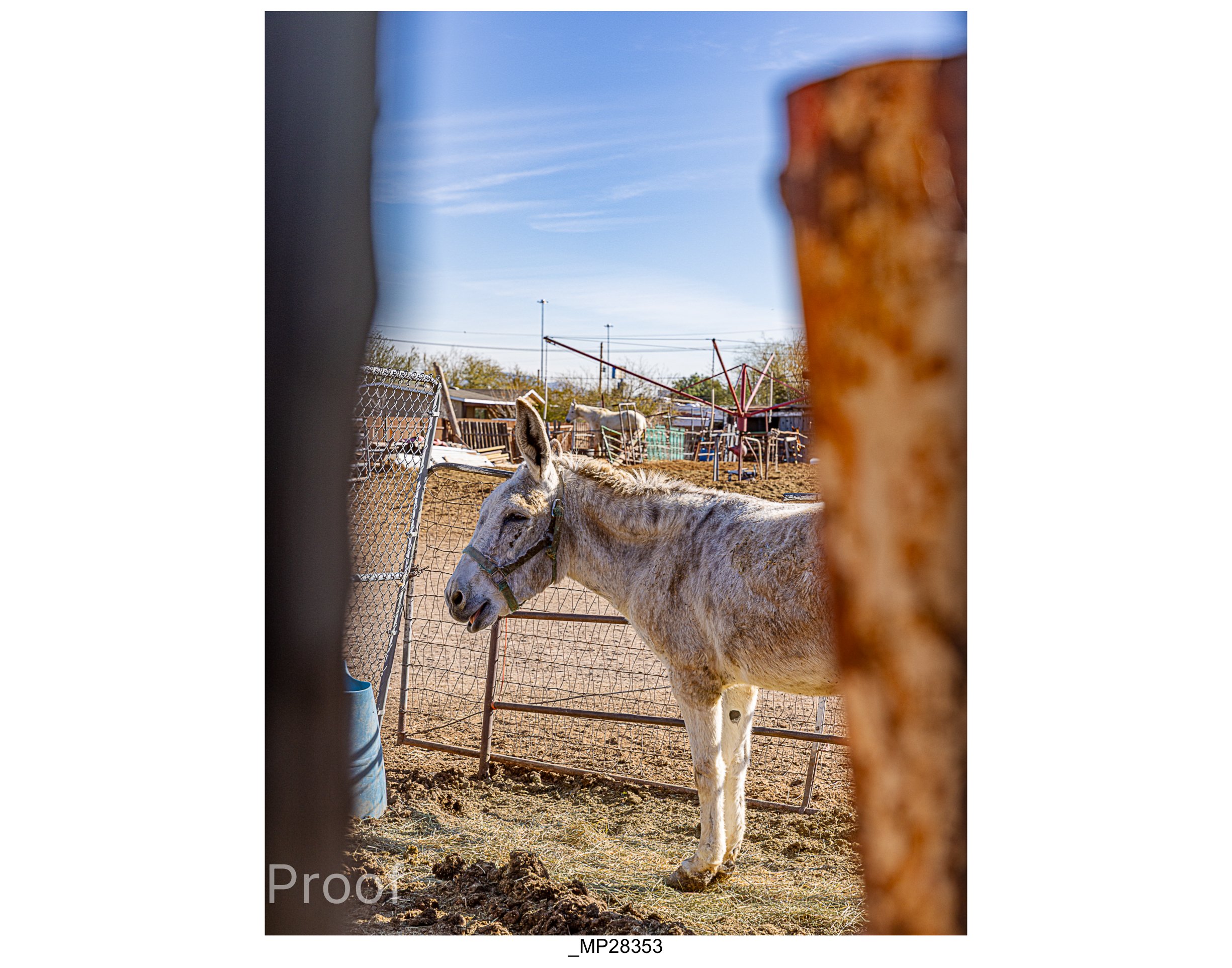 Barrio #1 Meckler Proofs-069.jpg