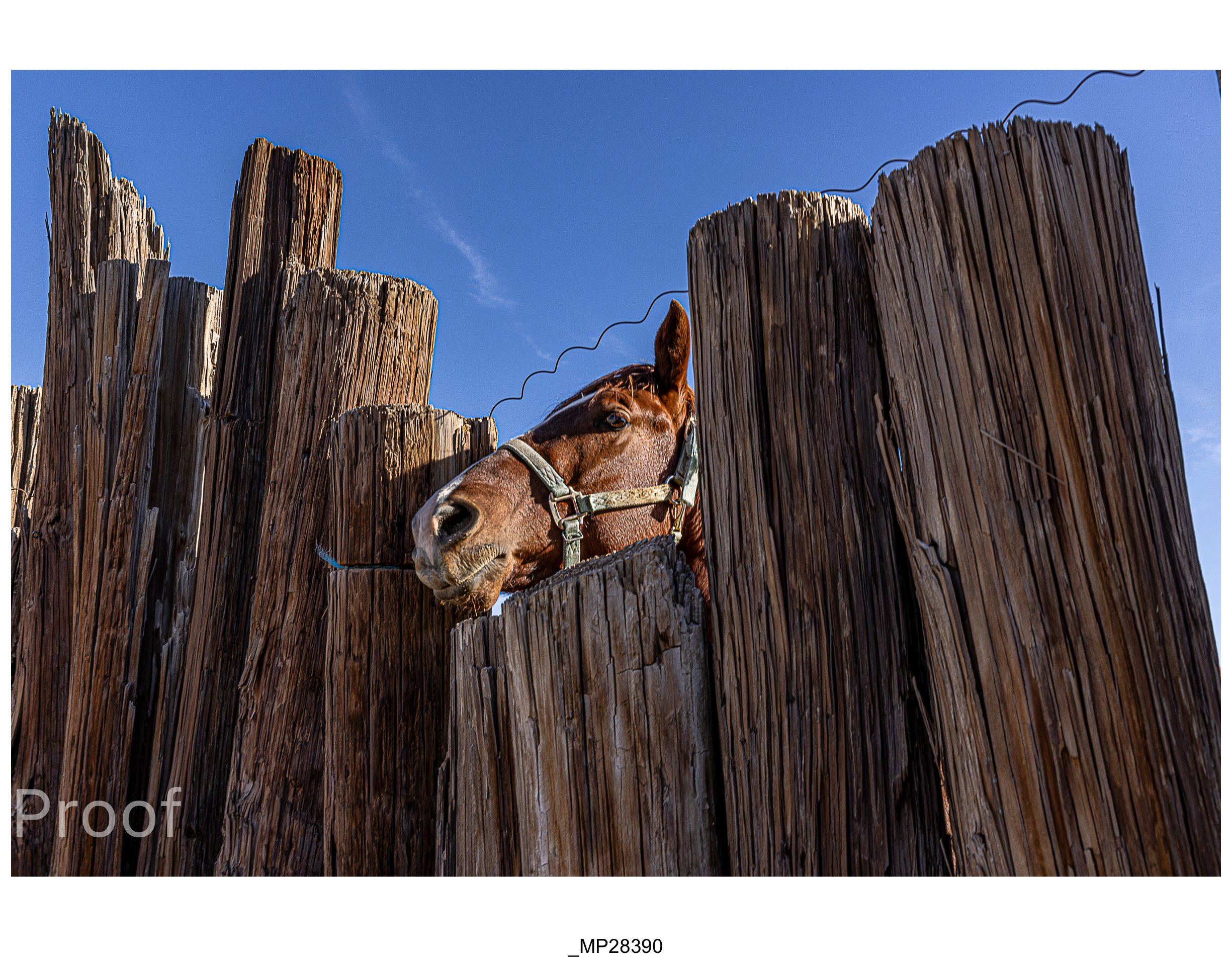 Barrio #1 Meckler Proofs-071.jpg