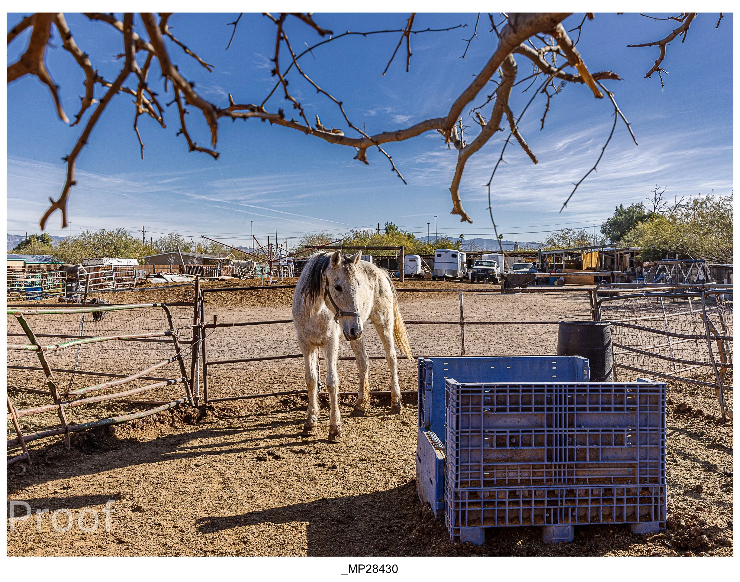 Barrio #1 Meckler Proofs-073.jpg