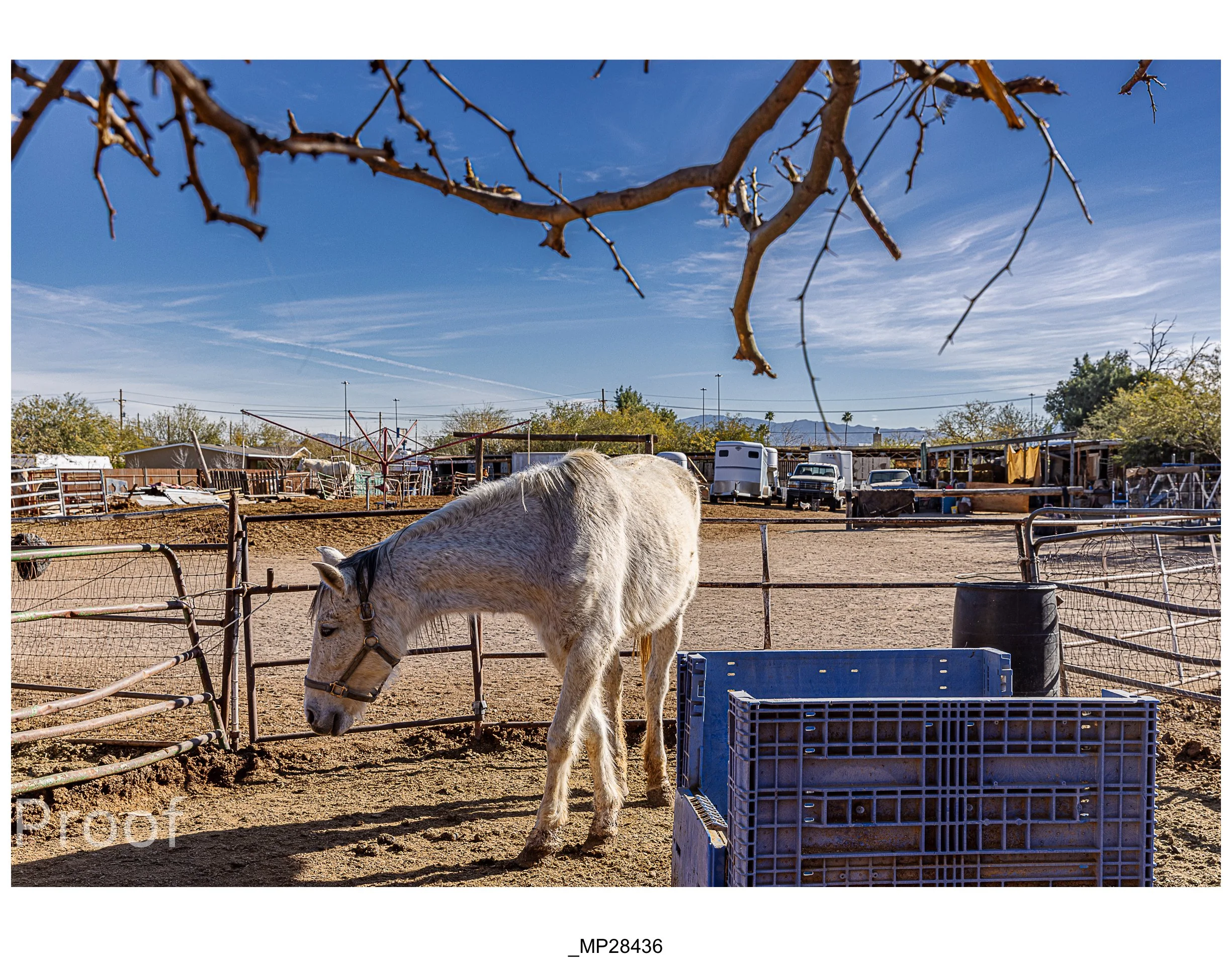 Barrio #1 Meckler Proofs-075.jpg