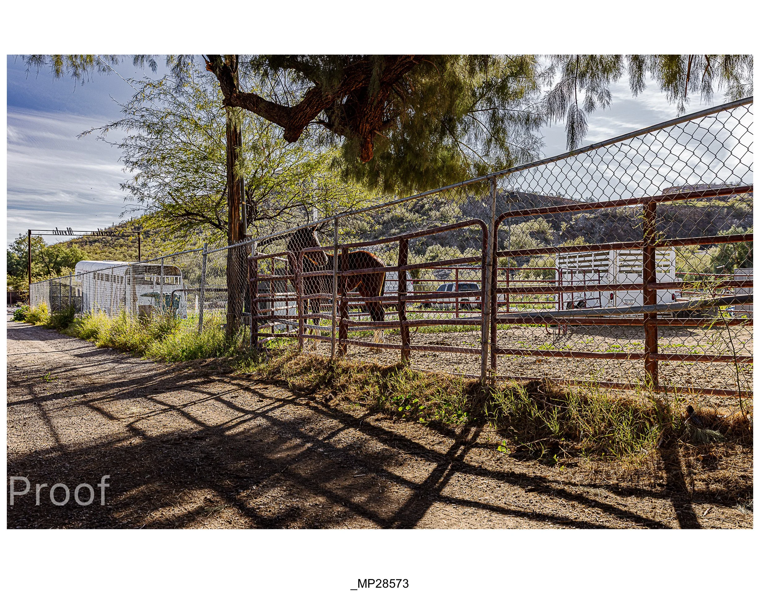 Barrio #1 Meckler Proofs-084.jpg