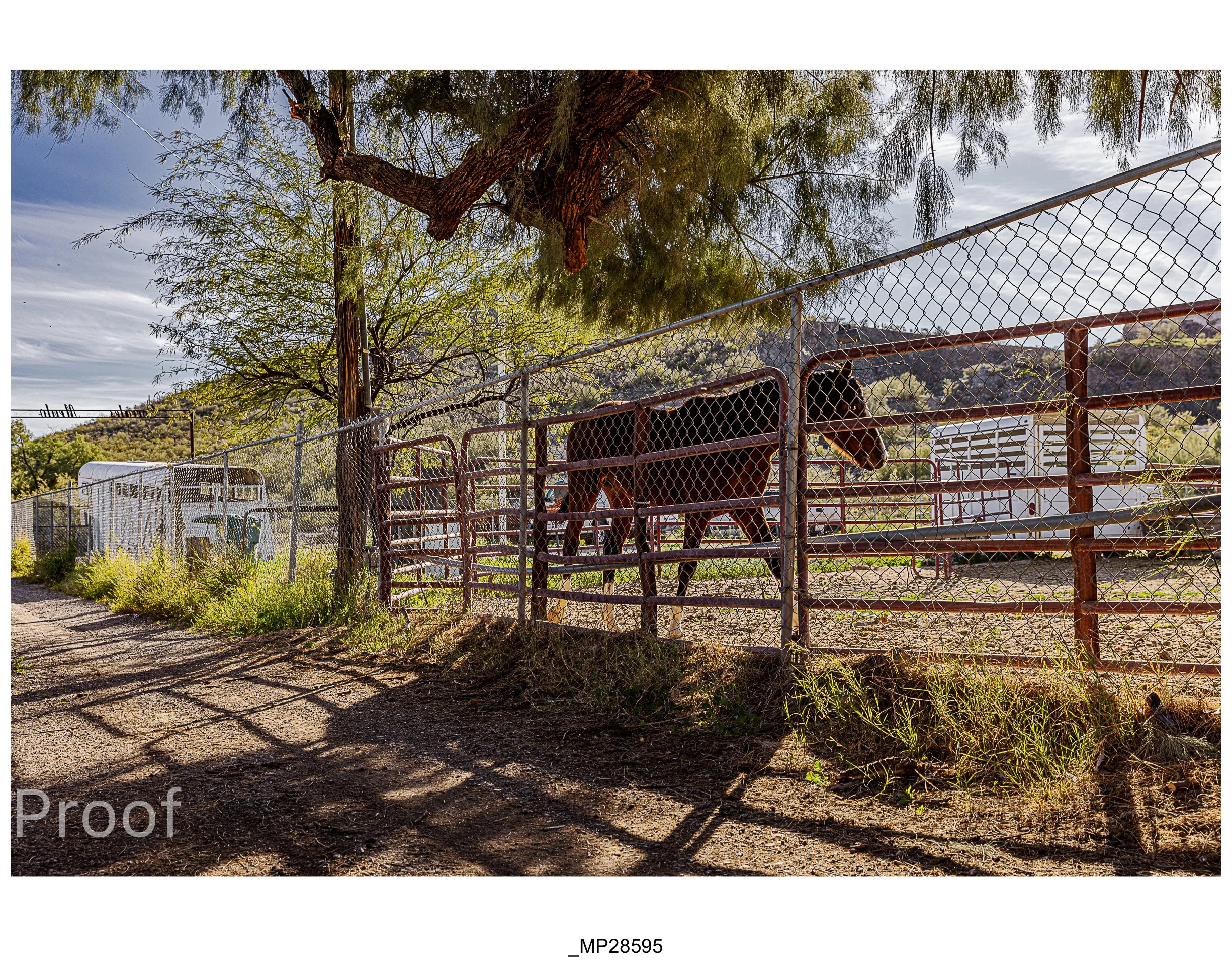 Barrio #1 Meckler Proofs-085.jpg