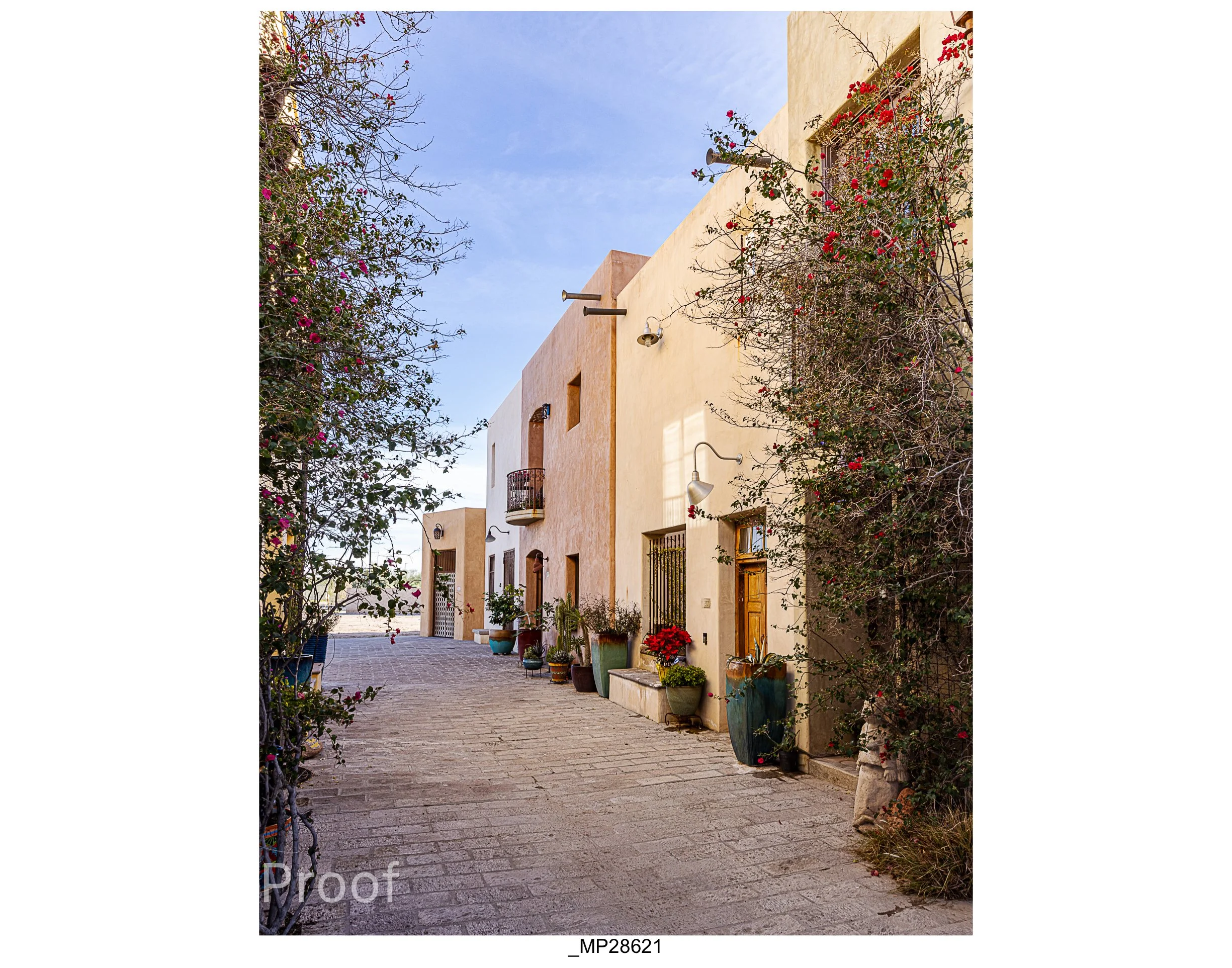 Barrio #1 Meckler Proofs-088.jpg