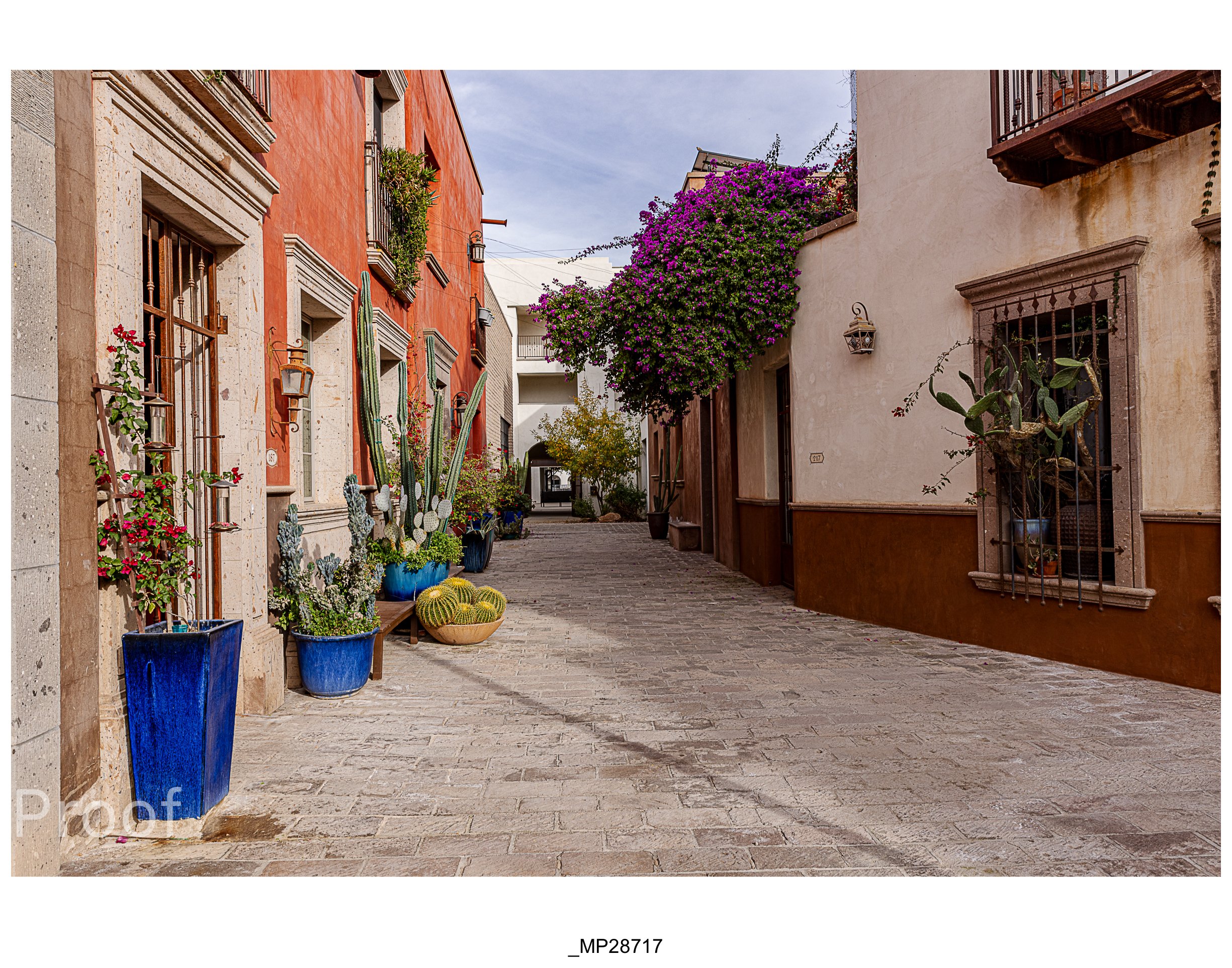 Barrio #1 Meckler Proofs-091.jpg