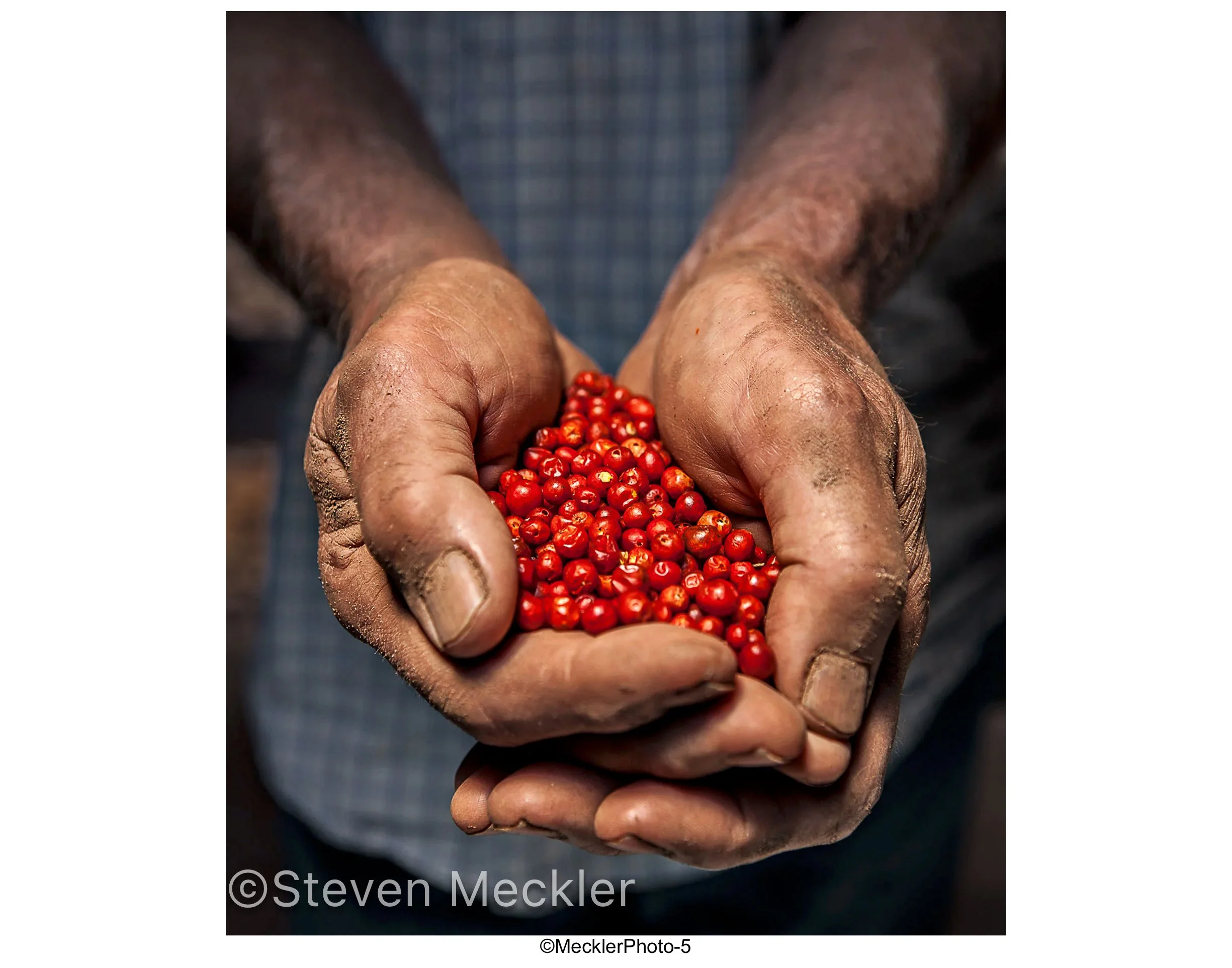 MecklerPhoto Web Gallery-05.jpg