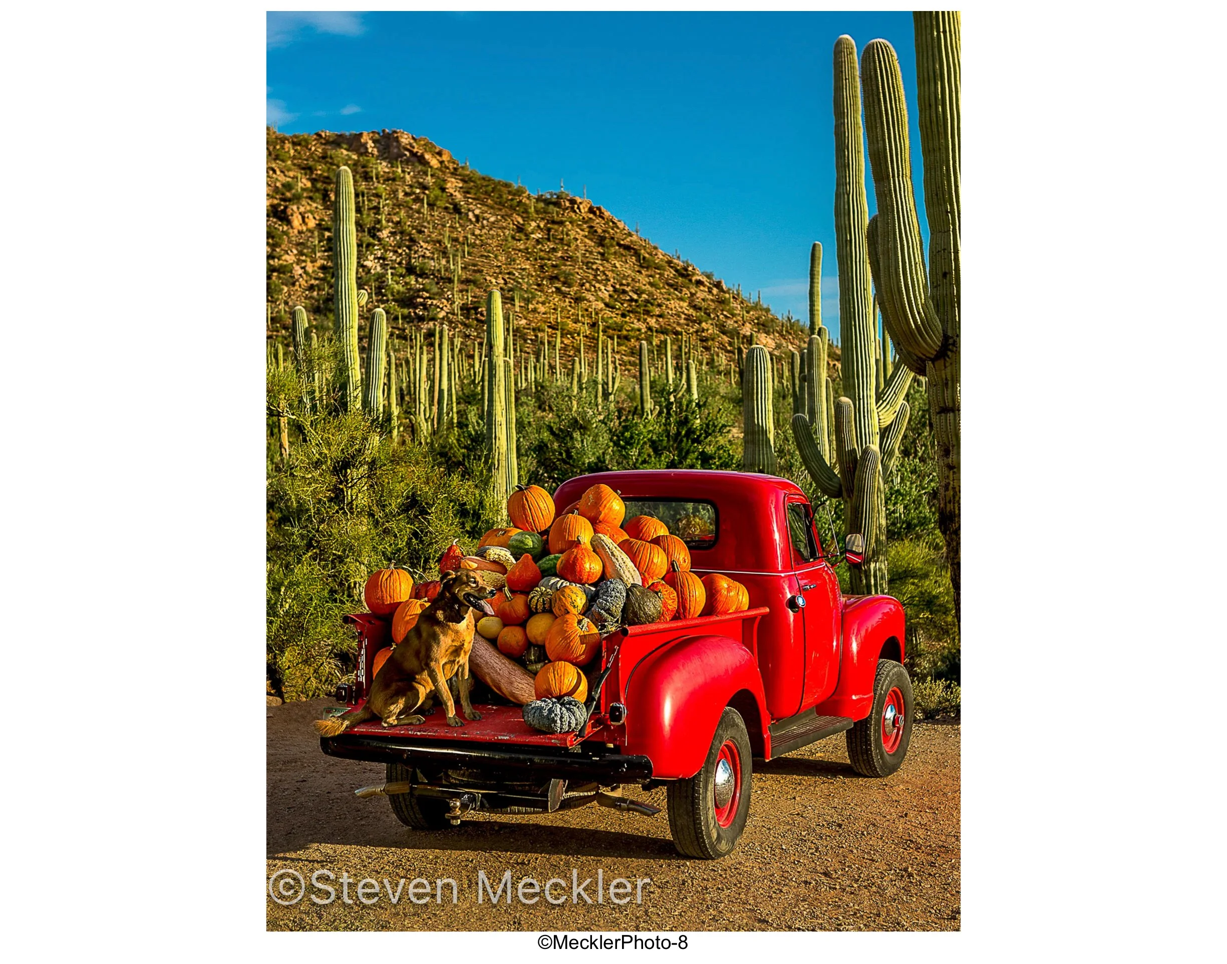 MecklerPhoto Web Gallery-08.jpg