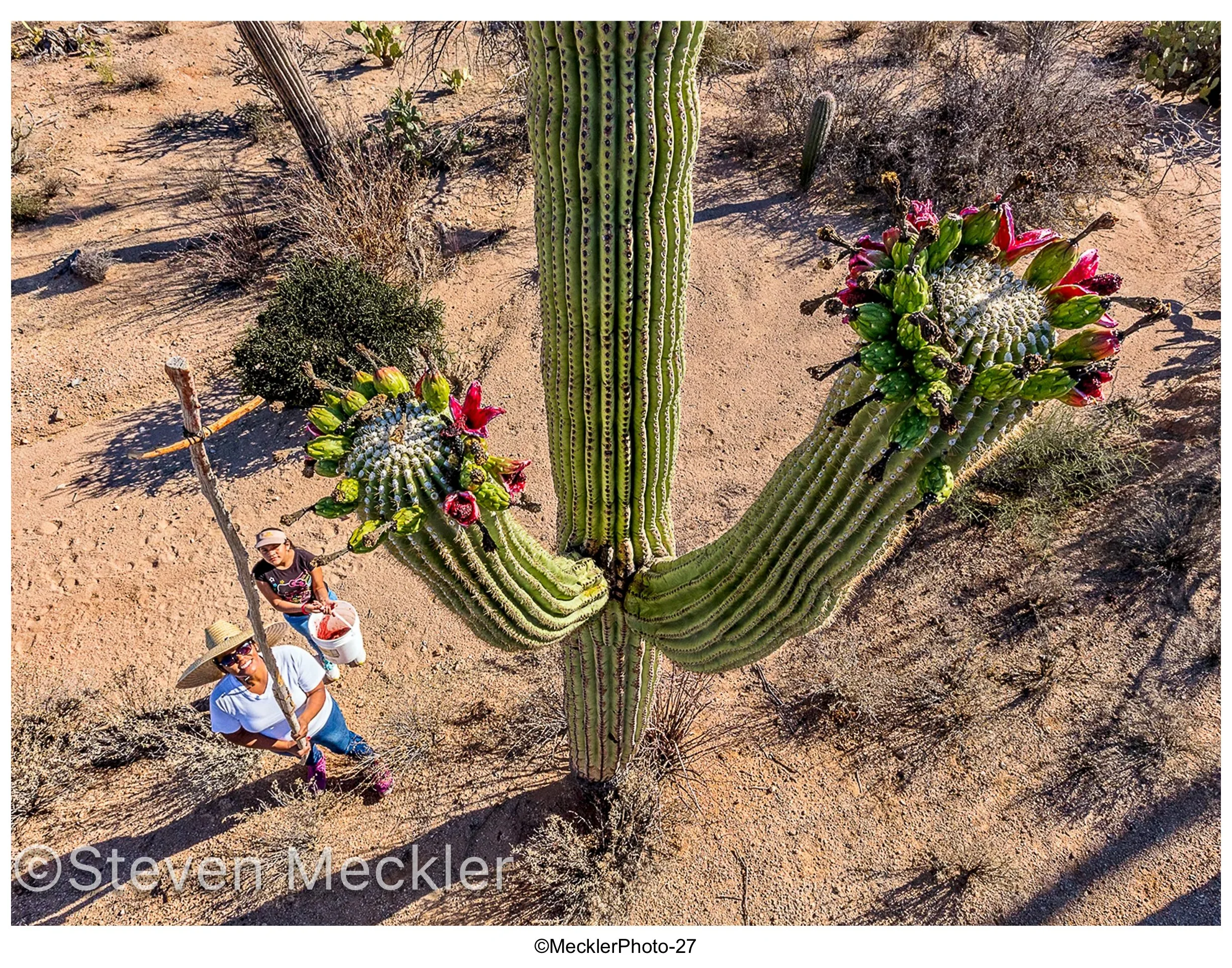 MecklerPhoto Web Gallery-27.jpg