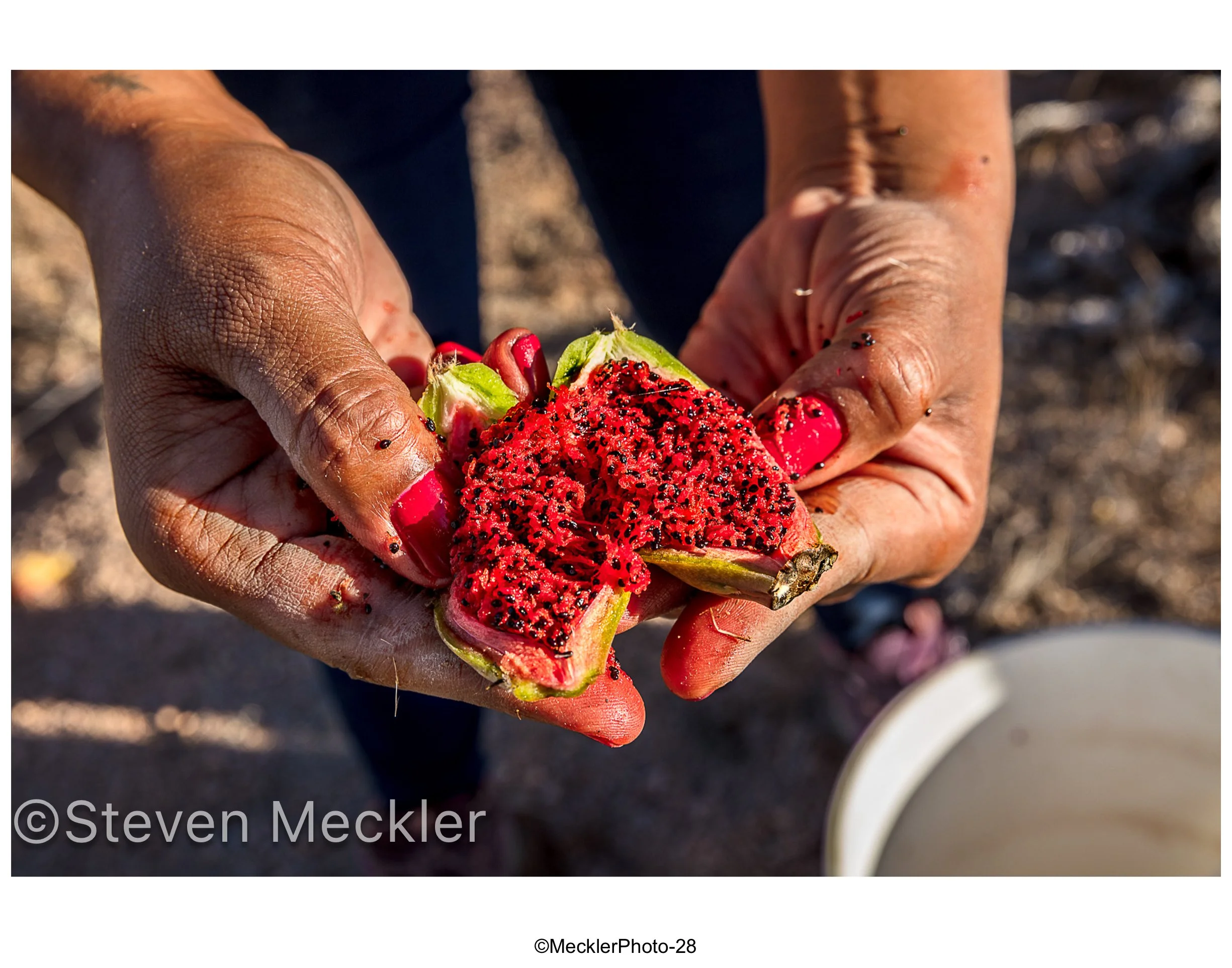 MecklerPhoto Web Gallery-28.jpg