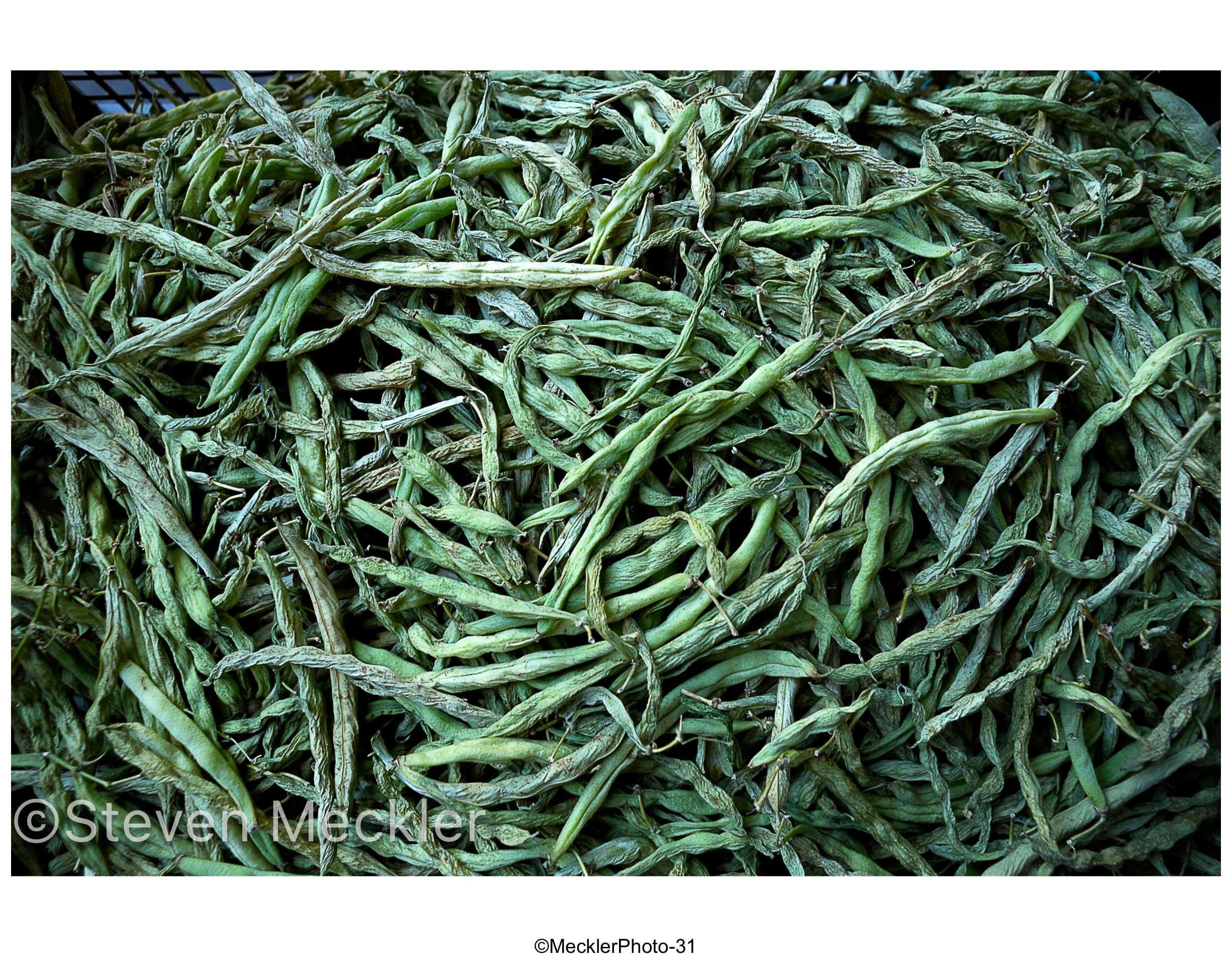 MecklerPhoto Web Gallery-31.jpg