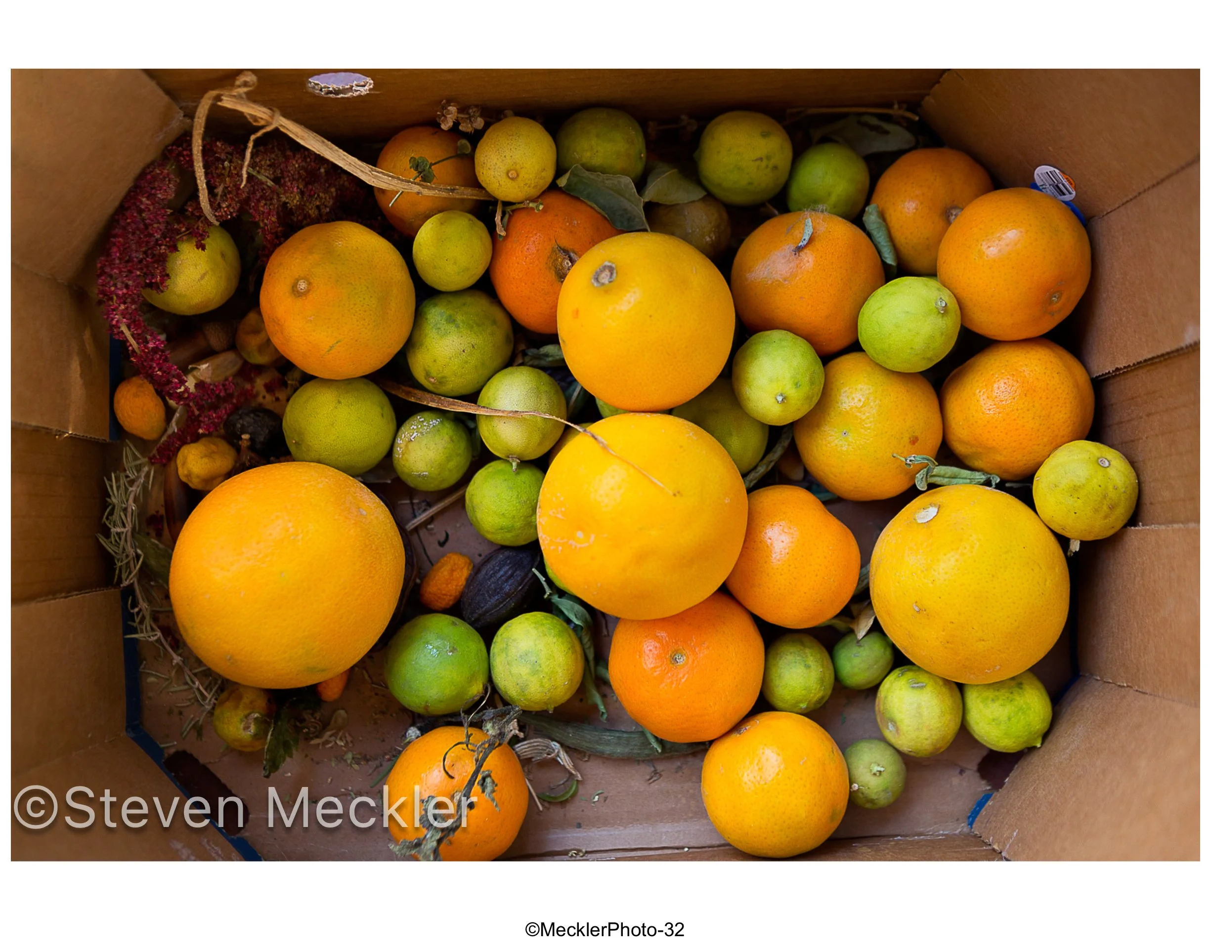 MecklerPhoto Web Gallery-32.jpg