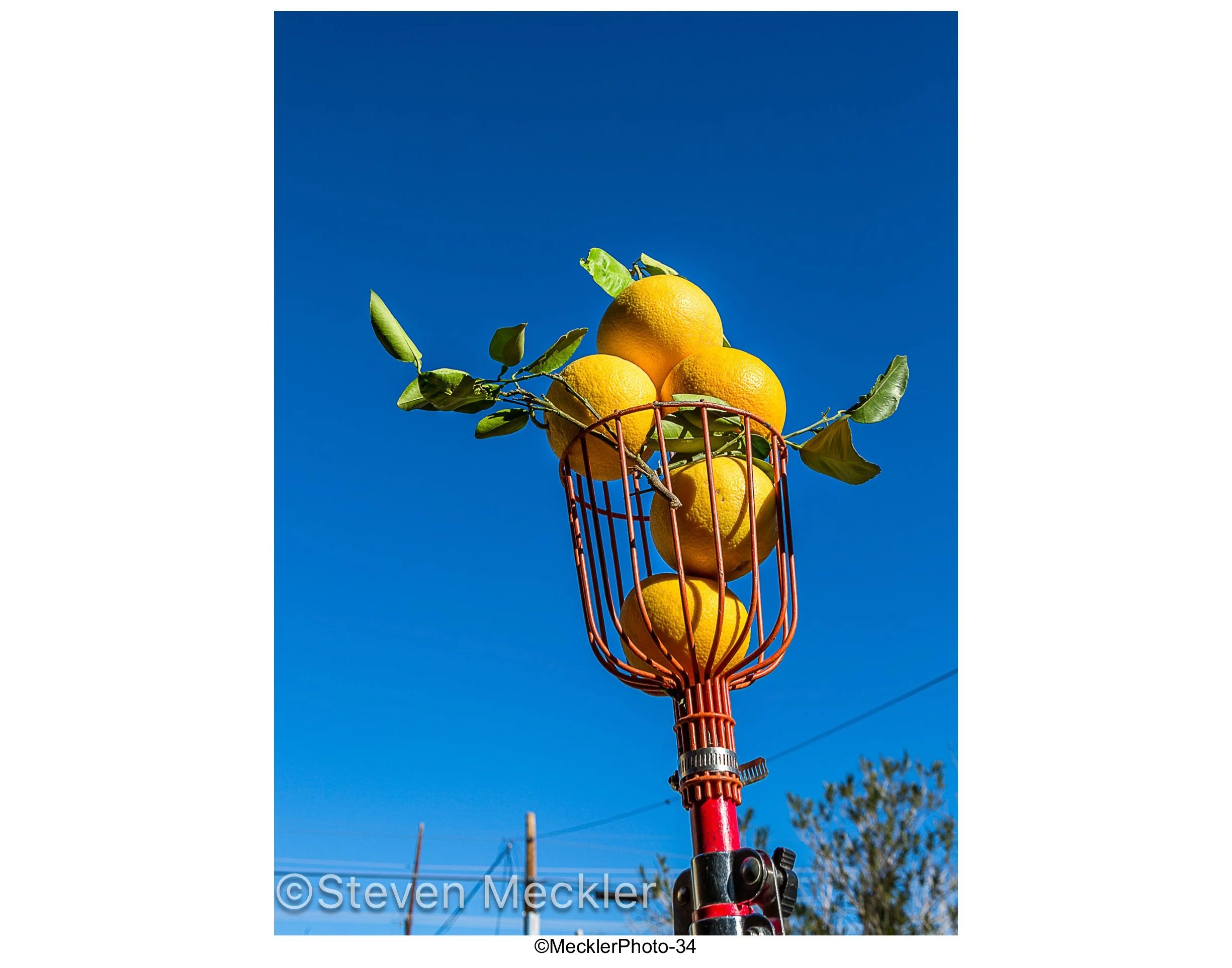 MecklerPhoto Web Gallery-34.jpg