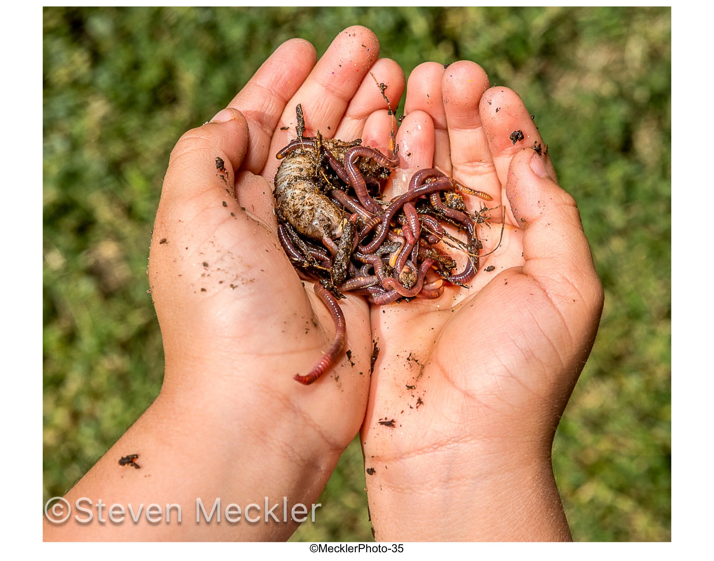 MecklerPhoto Web Gallery-35.jpg