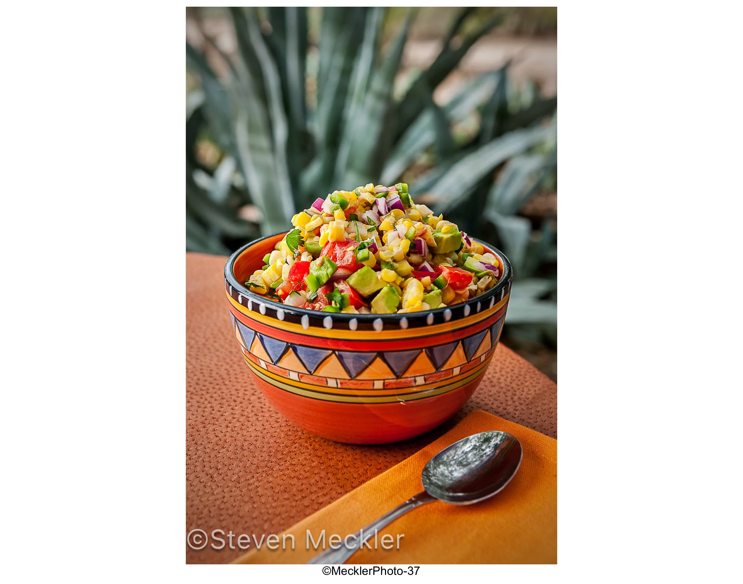 MecklerPhoto Web Gallery-37.jpg