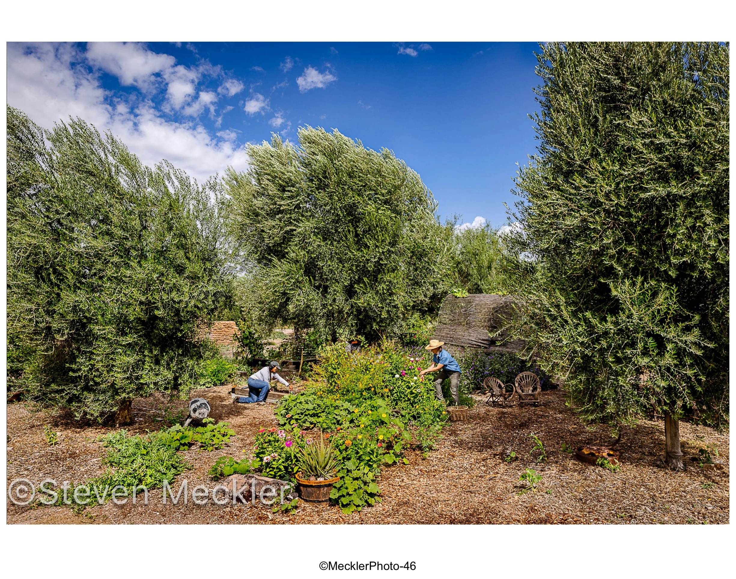 MecklerPhoto Web Gallery-46.jpg