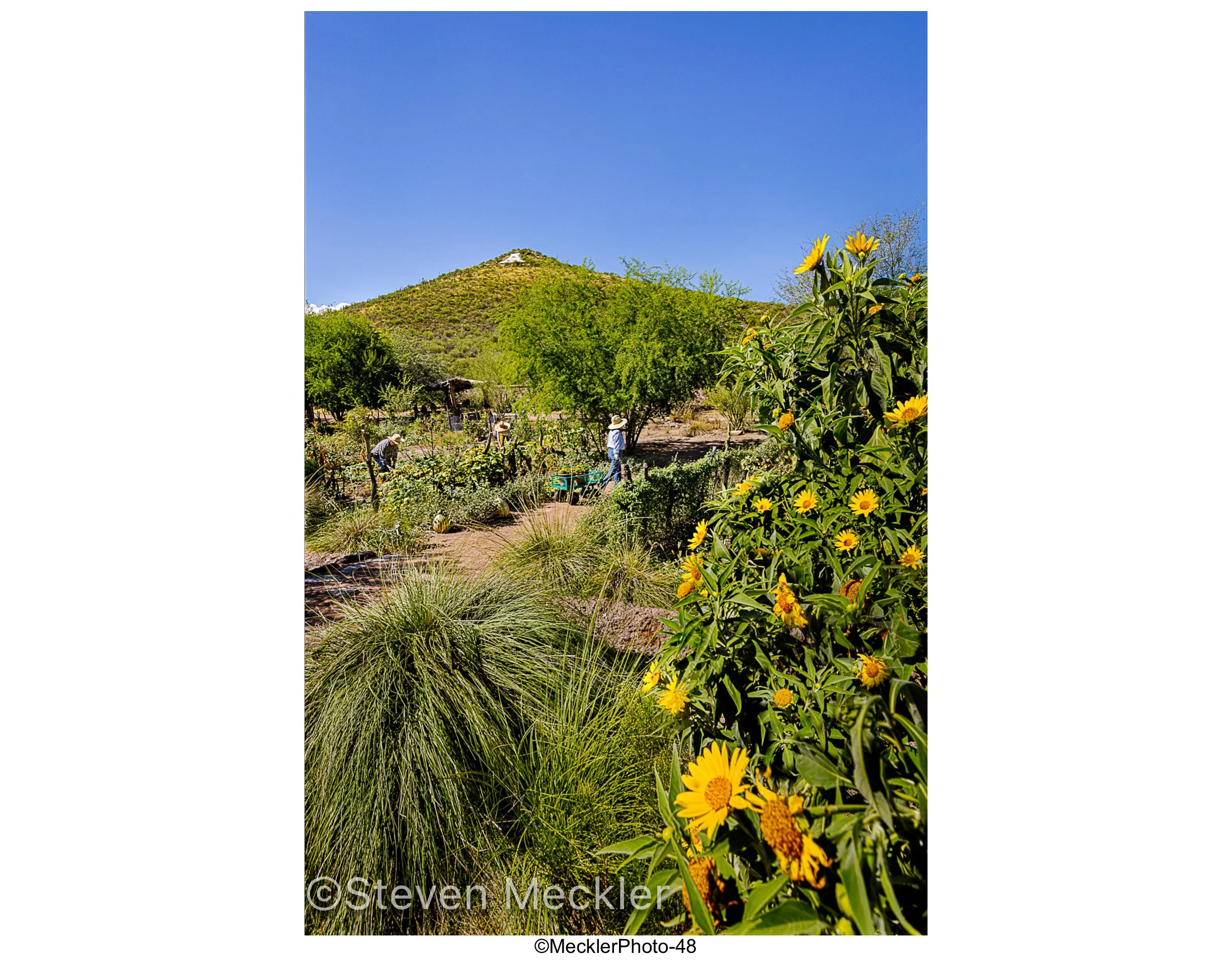 MecklerPhoto Web Gallery-48.jpg