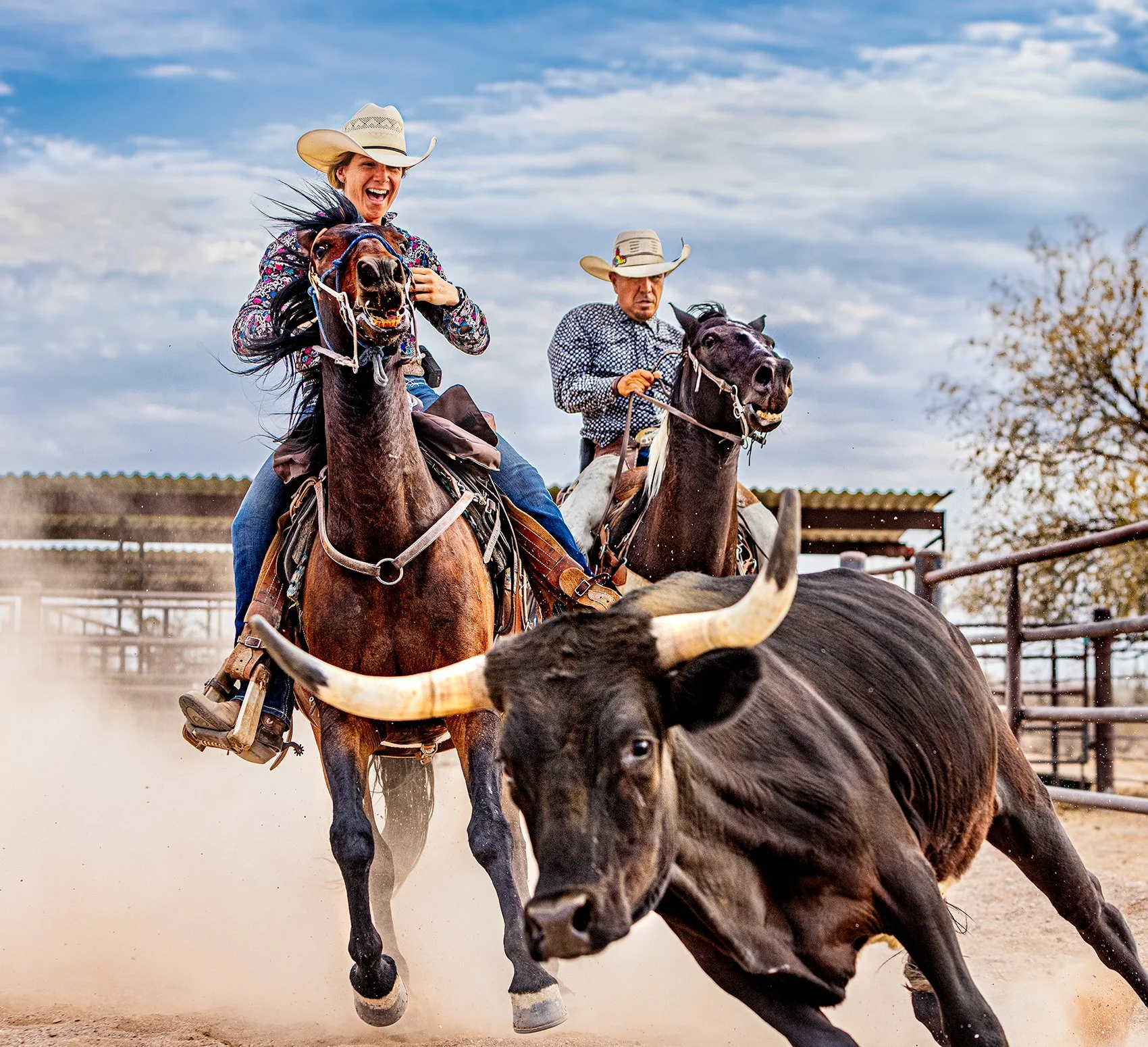 Team Roping-23180-F2.jpg