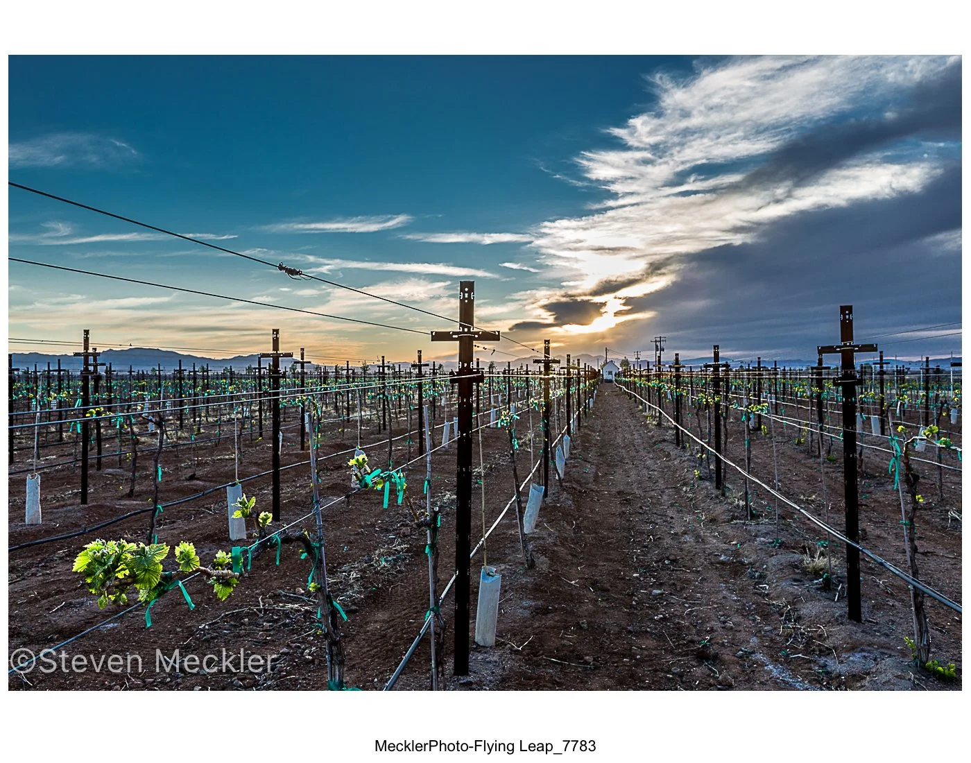 027 Official Tucson Travel Guide-JPG's-02.jpg